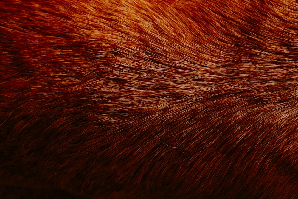 a close up of a brown and black animal's fur
