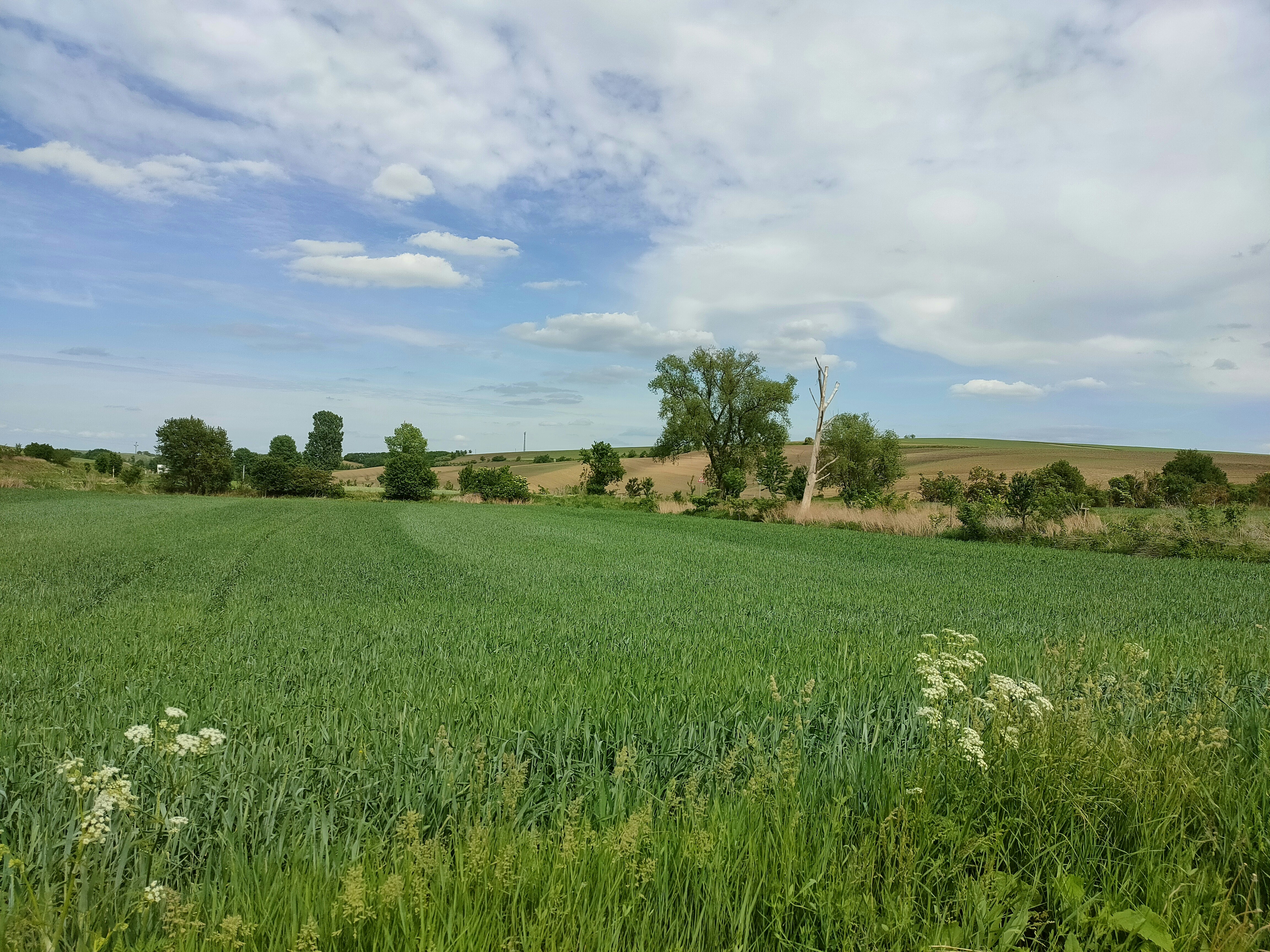 Photo by marjorylucabaxter