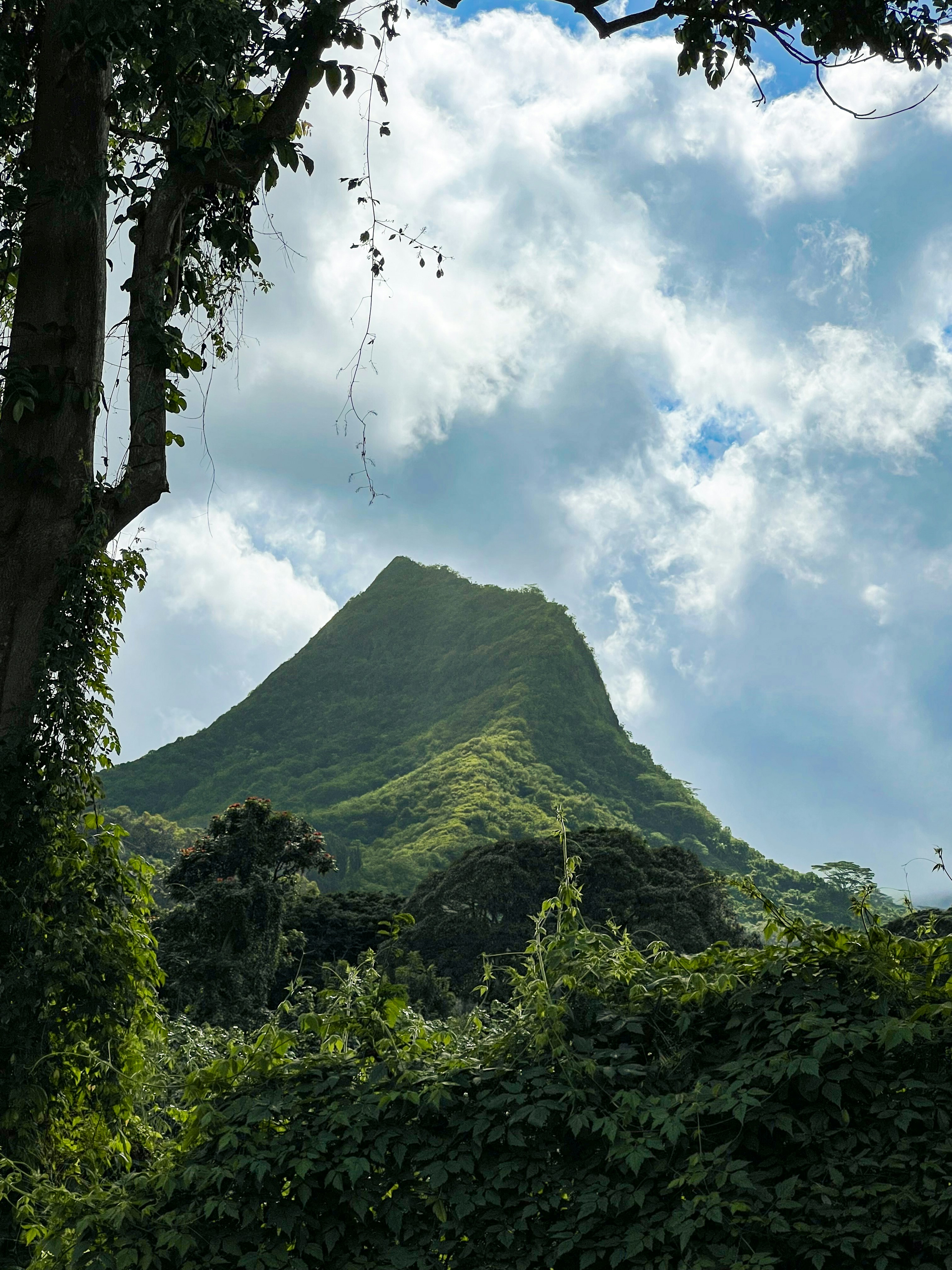 Photo by gerdadesign