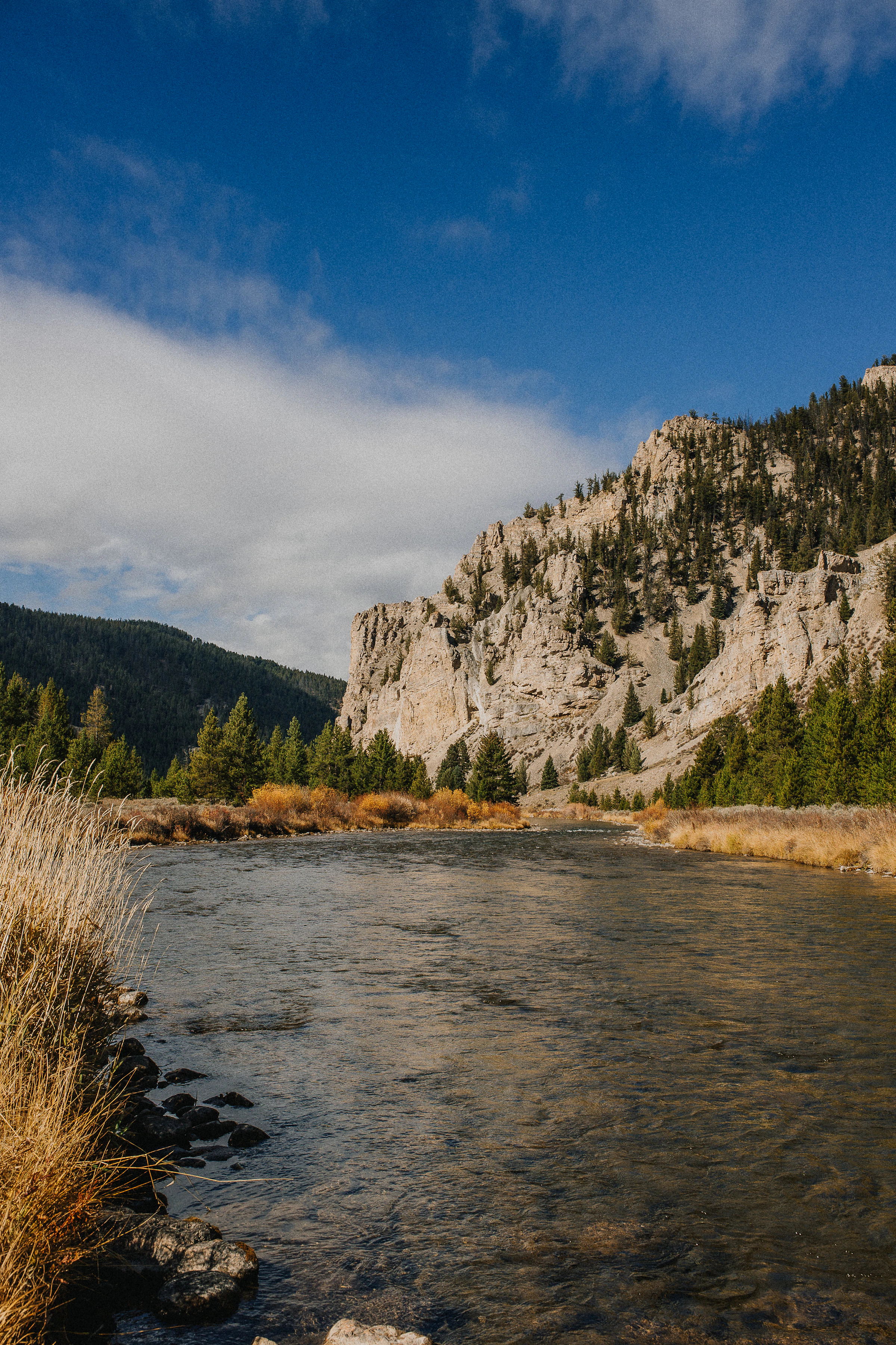 A quiet Southwest Montana river at first light