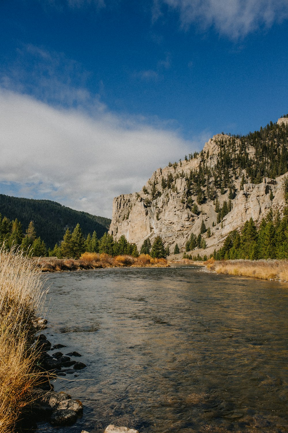 a body of water surrounded by mountains and trees