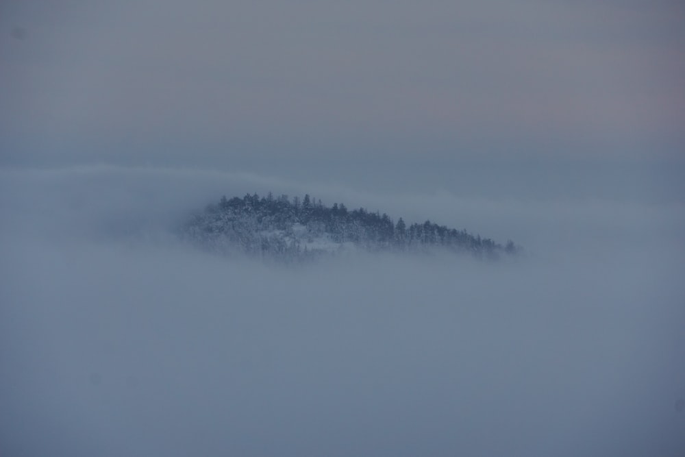 a foggy landscape with a mountain in the distance