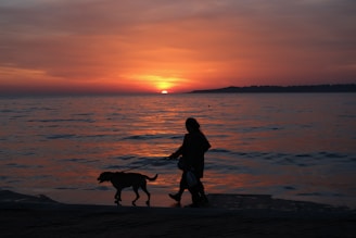 Silhouette of a person walking a dog along a seaside promenade at sunset. The sky is a blend of orange, pink, and dark hues as the sun sets over the horizon, casting a warm glow on the water.