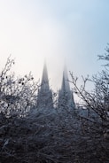 Gothic-style spires rise above a dense layer of fog, creating a mysterious and atmospheric scene. Frost-covered branches in the foreground add a touch of wintery detail.
