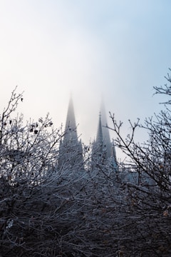 Gothic-style spires rise above a dense layer of fog, creating a mysterious and atmospheric scene. Frost-covered branches in the foreground add a touch of wintery detail.