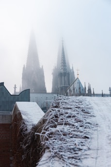 Gothic cathedral spires rise into a misty sky, partially obscured by fog. In the foreground, a rooftop covered with frost and climbing vines adds texture to the scene.