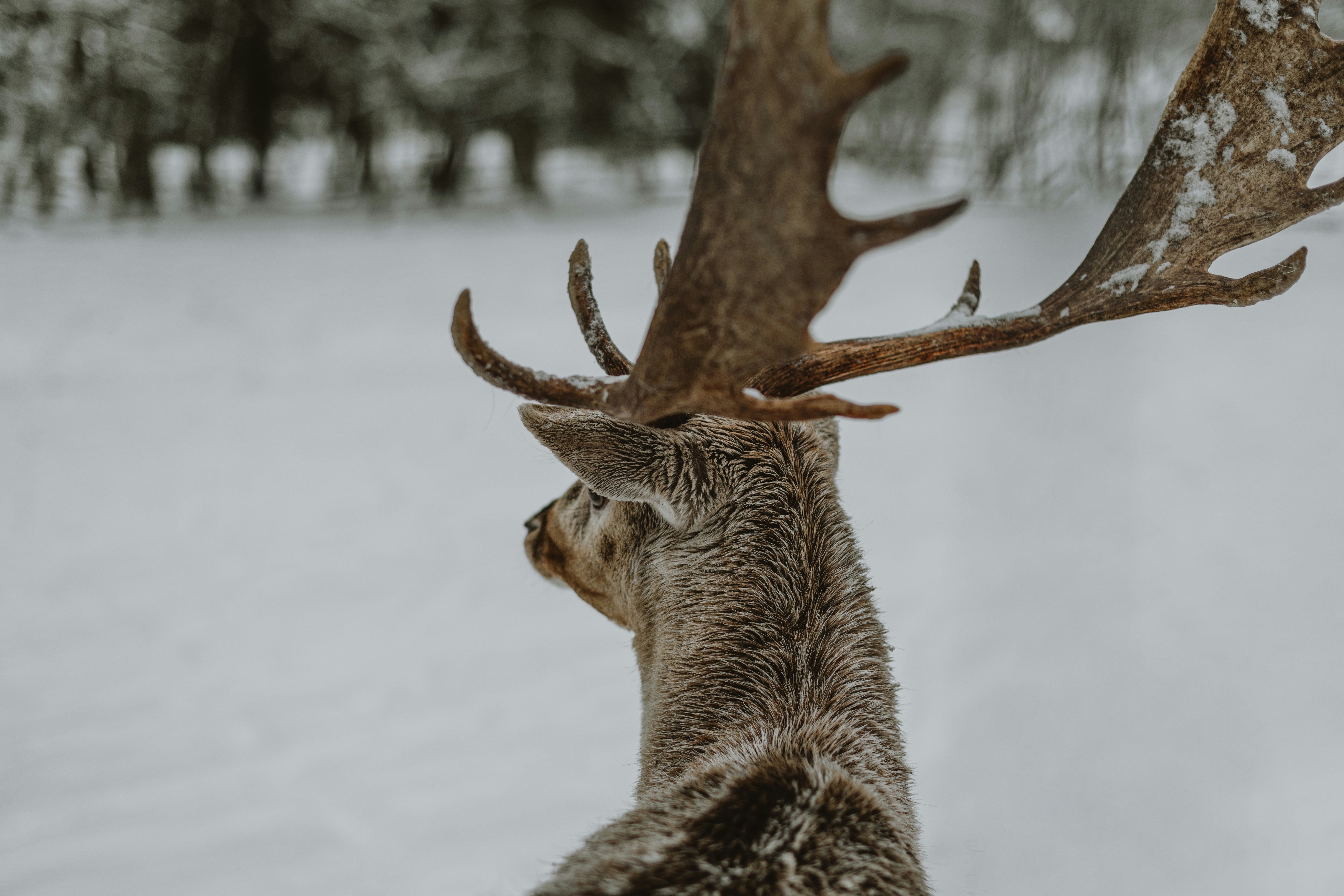 Photo by anitaaustvika