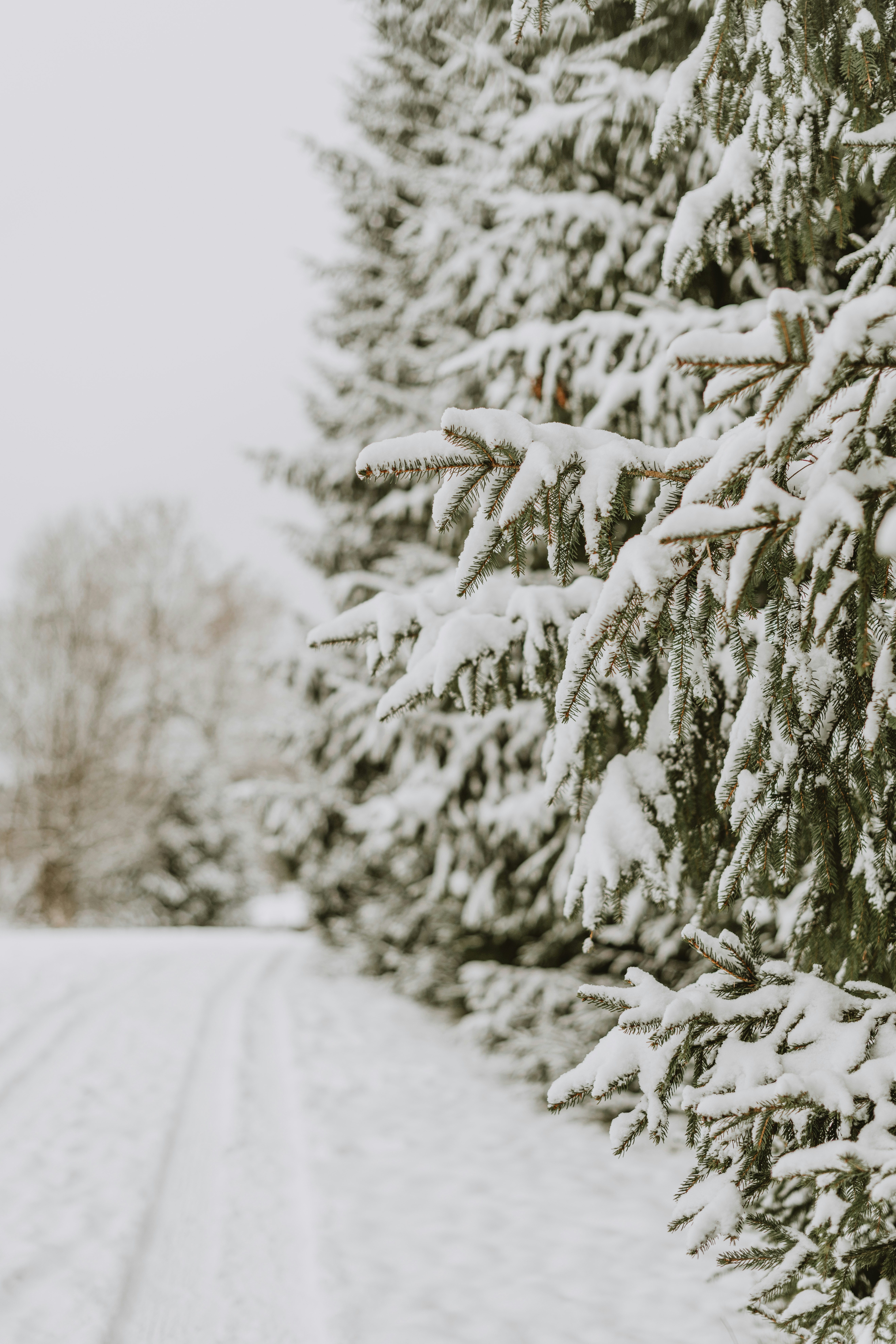 Photo by anitaaustvika