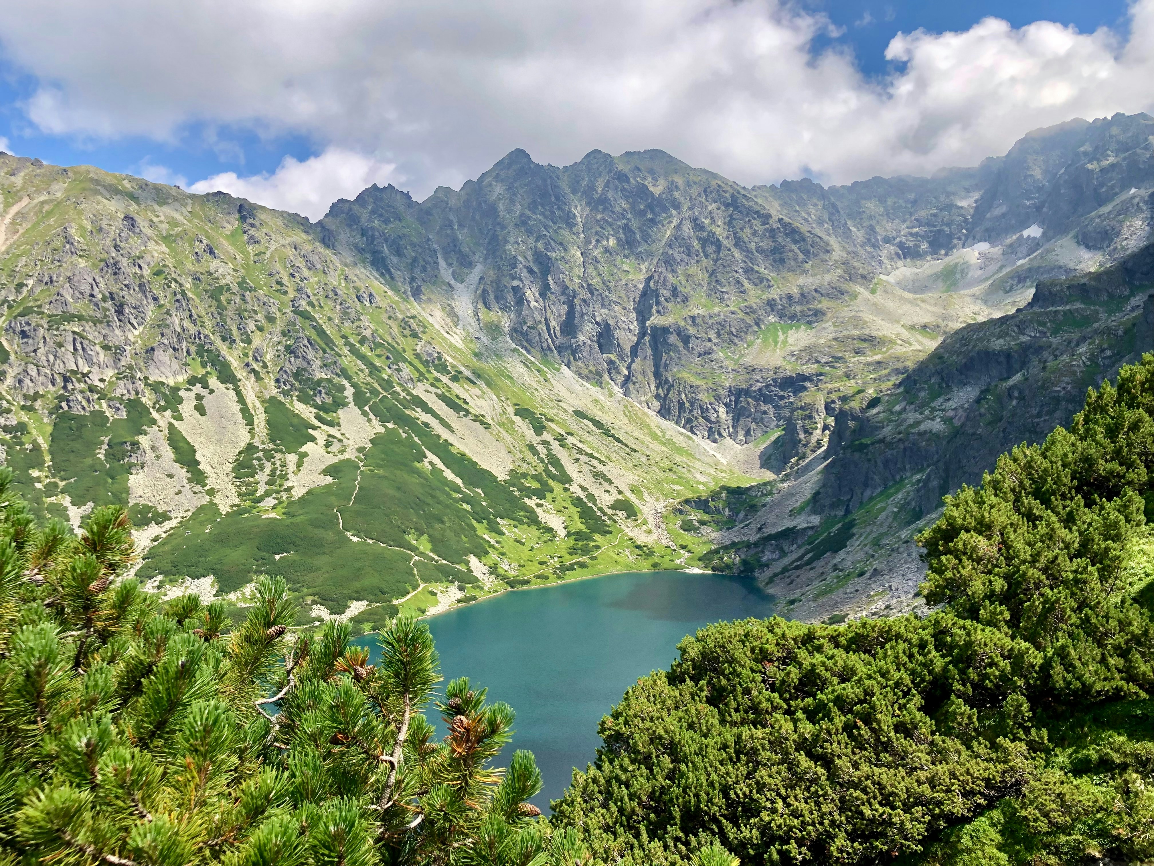 Photo by maksym_harbar