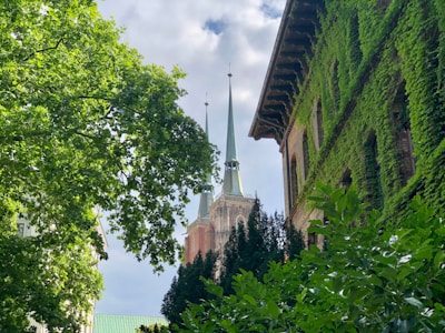 A serene view of the csi kodankara church surrounded by lush greenery.