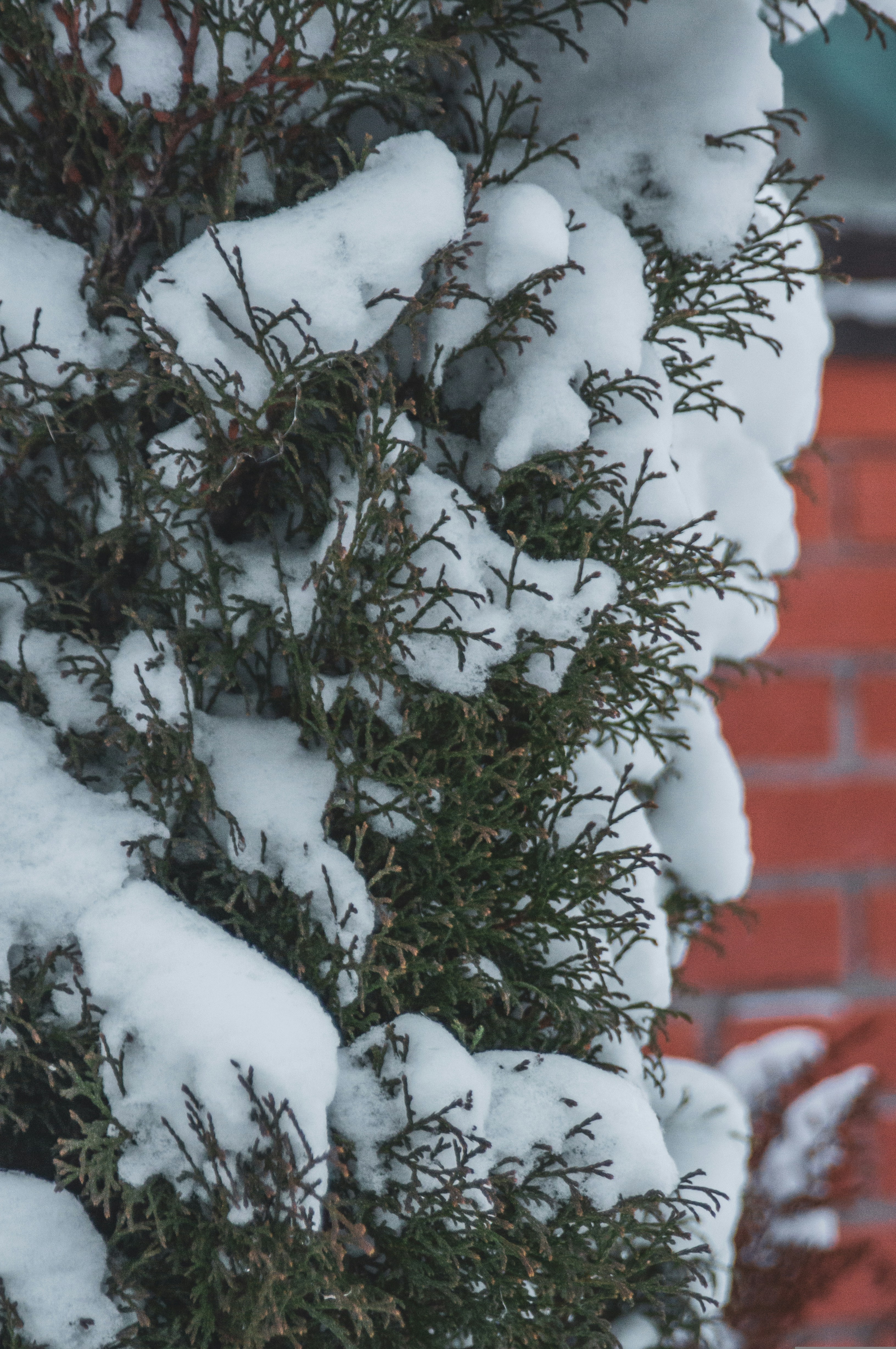 Photo by andrey_sinus