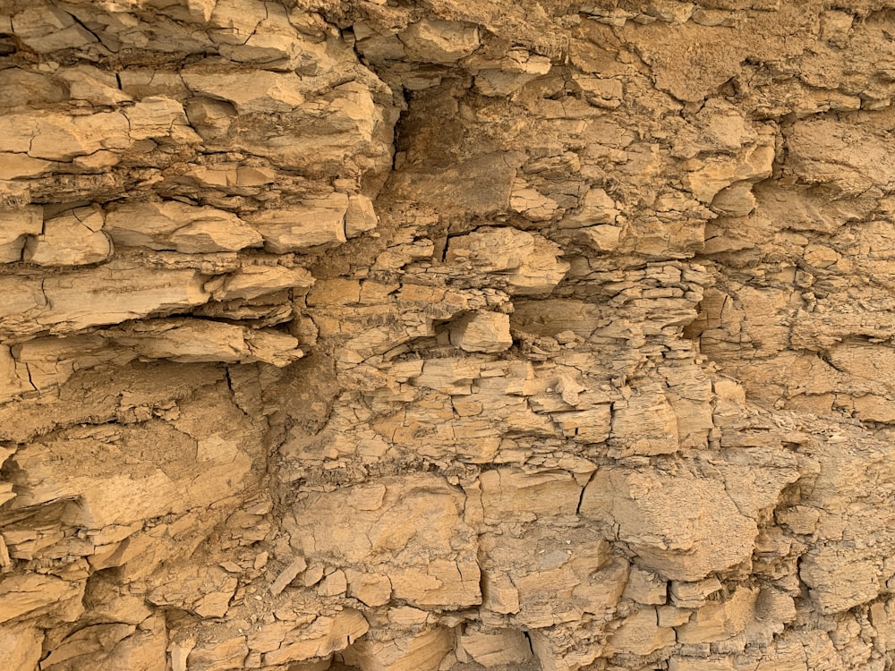 a bird is perched on a rock formation