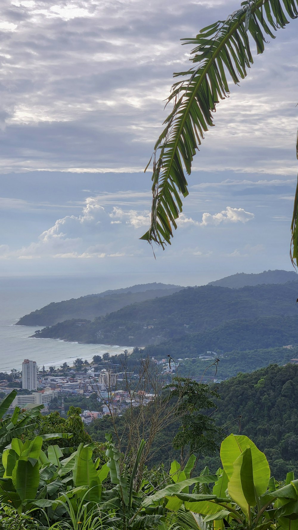 a view of a city and a body of water