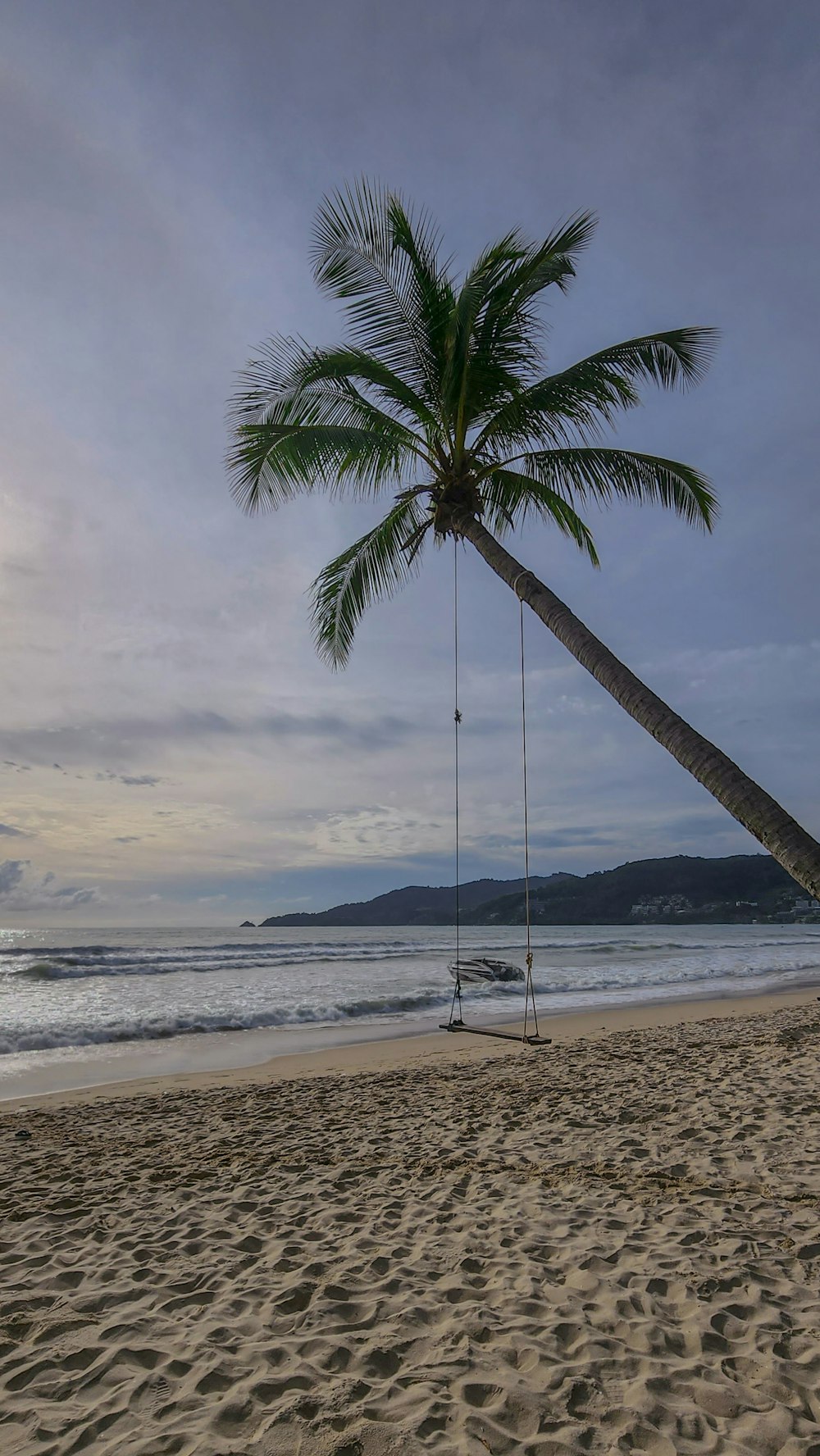 a palm tree leaning over a swing on a beach
