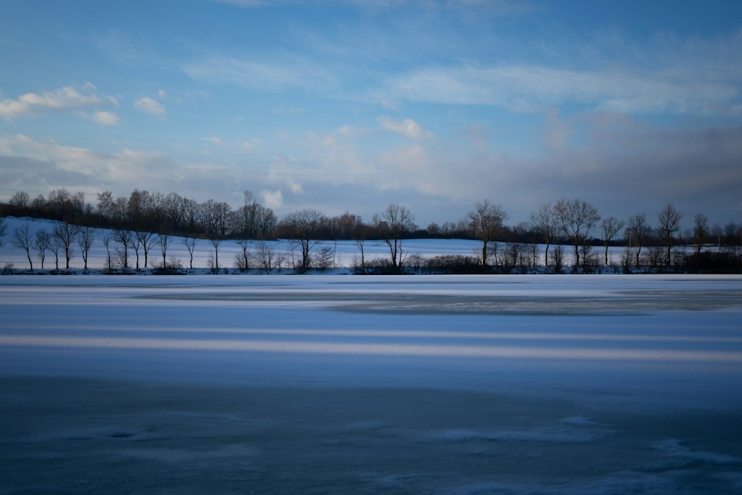 a snowy landscape with trees and a hill in the distance,