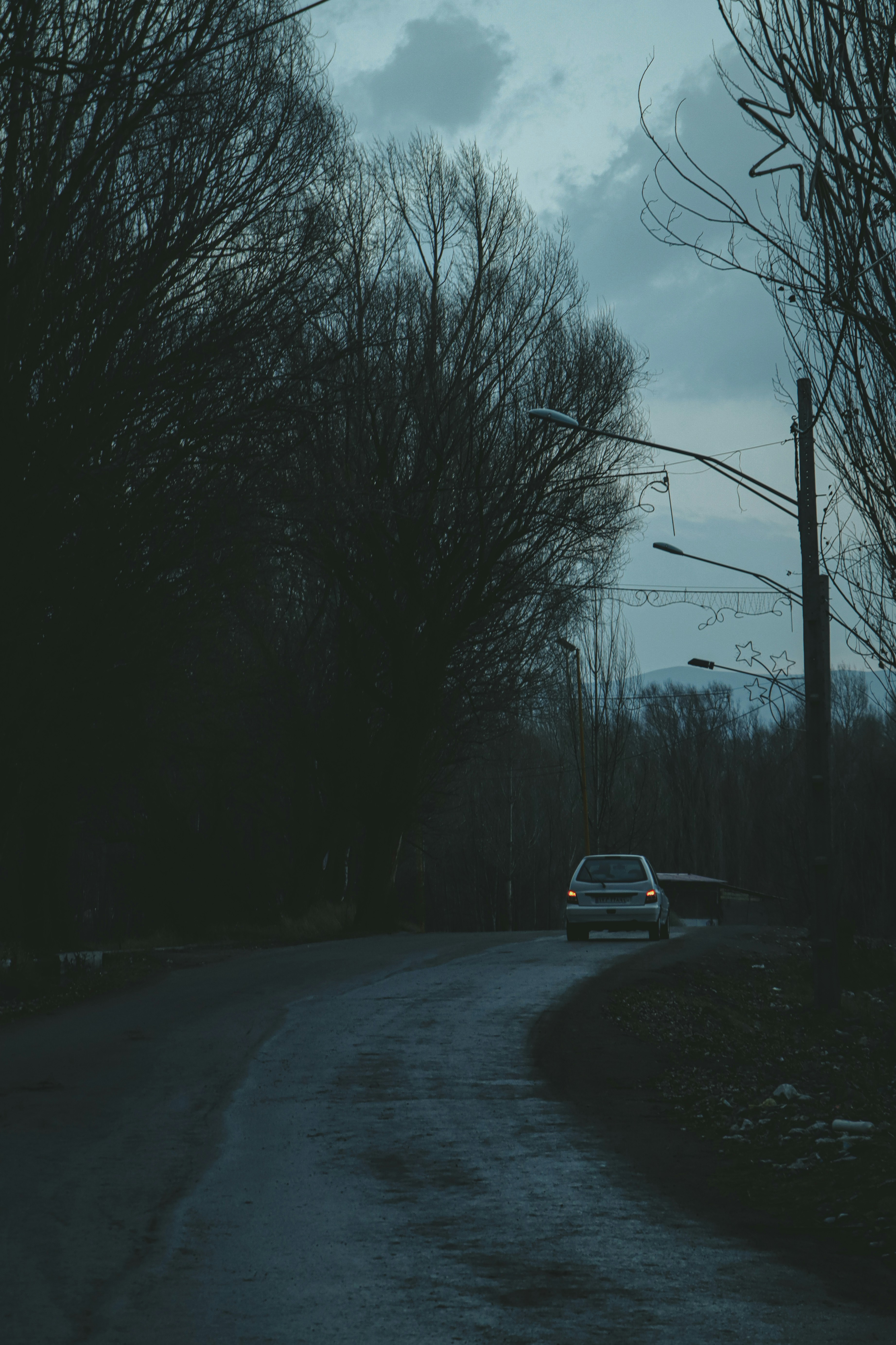 Photo by parhamlotfi