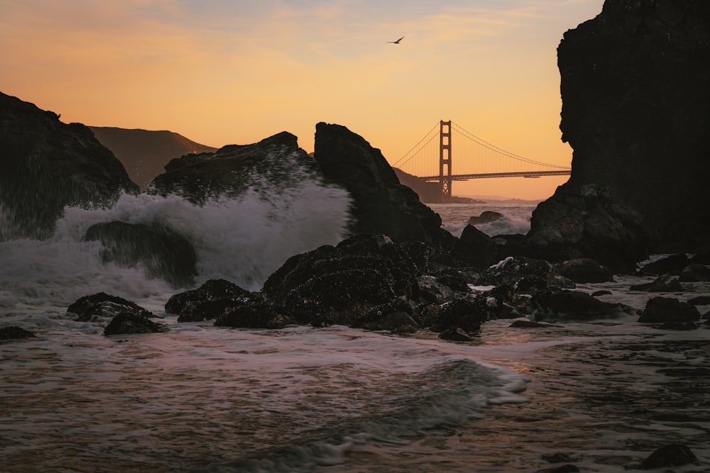 a bird flying over a body of water near a bridge