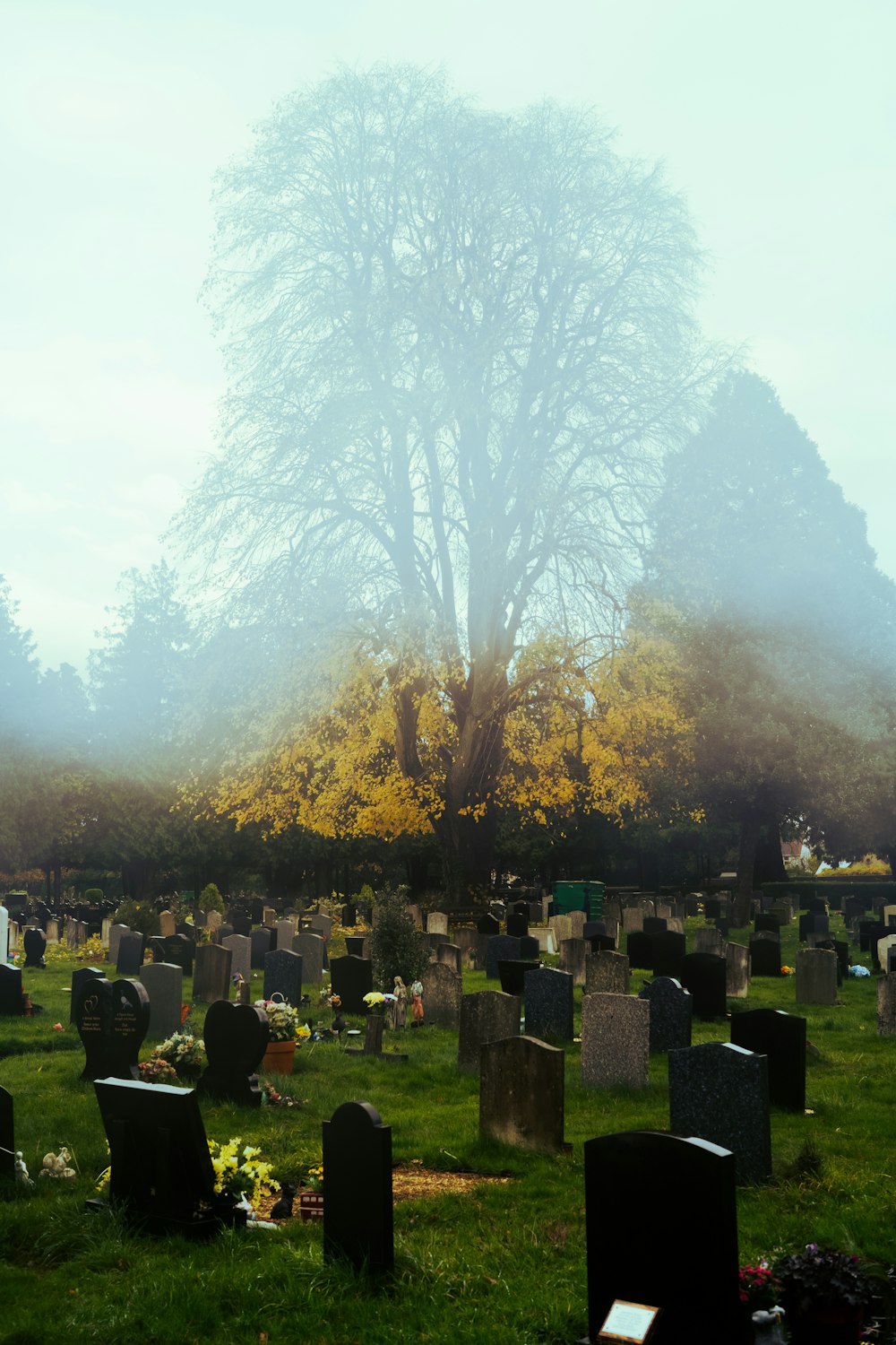 a foggy cemetery with a tree in the background