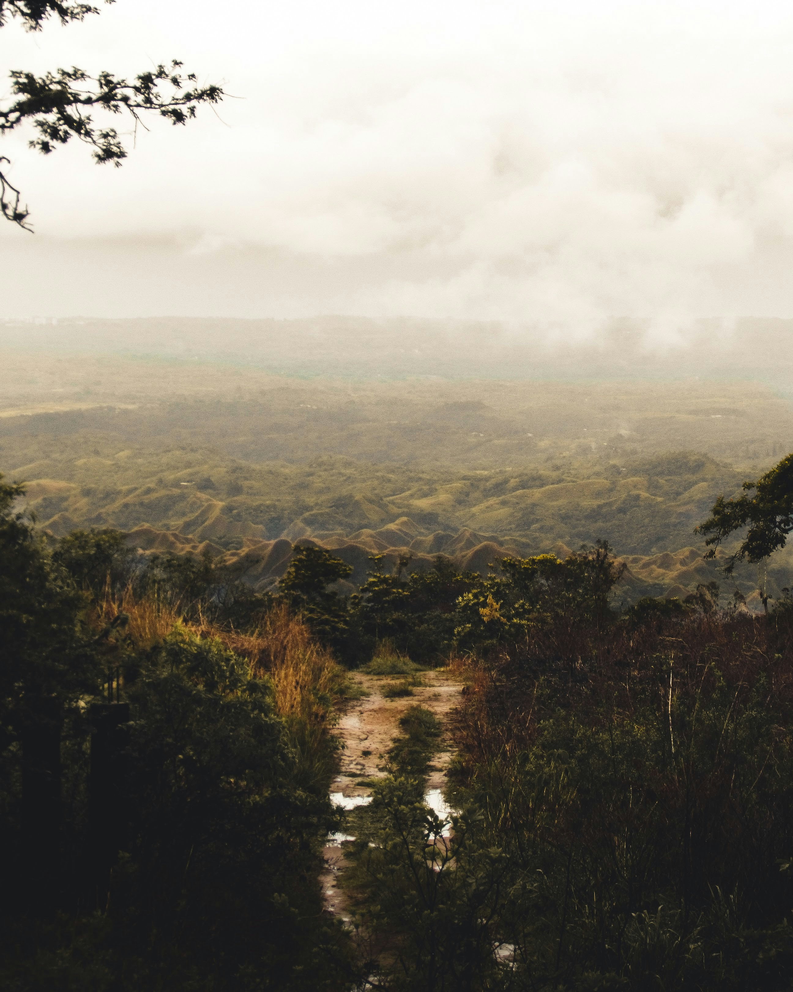 Photo by ricardoaaron