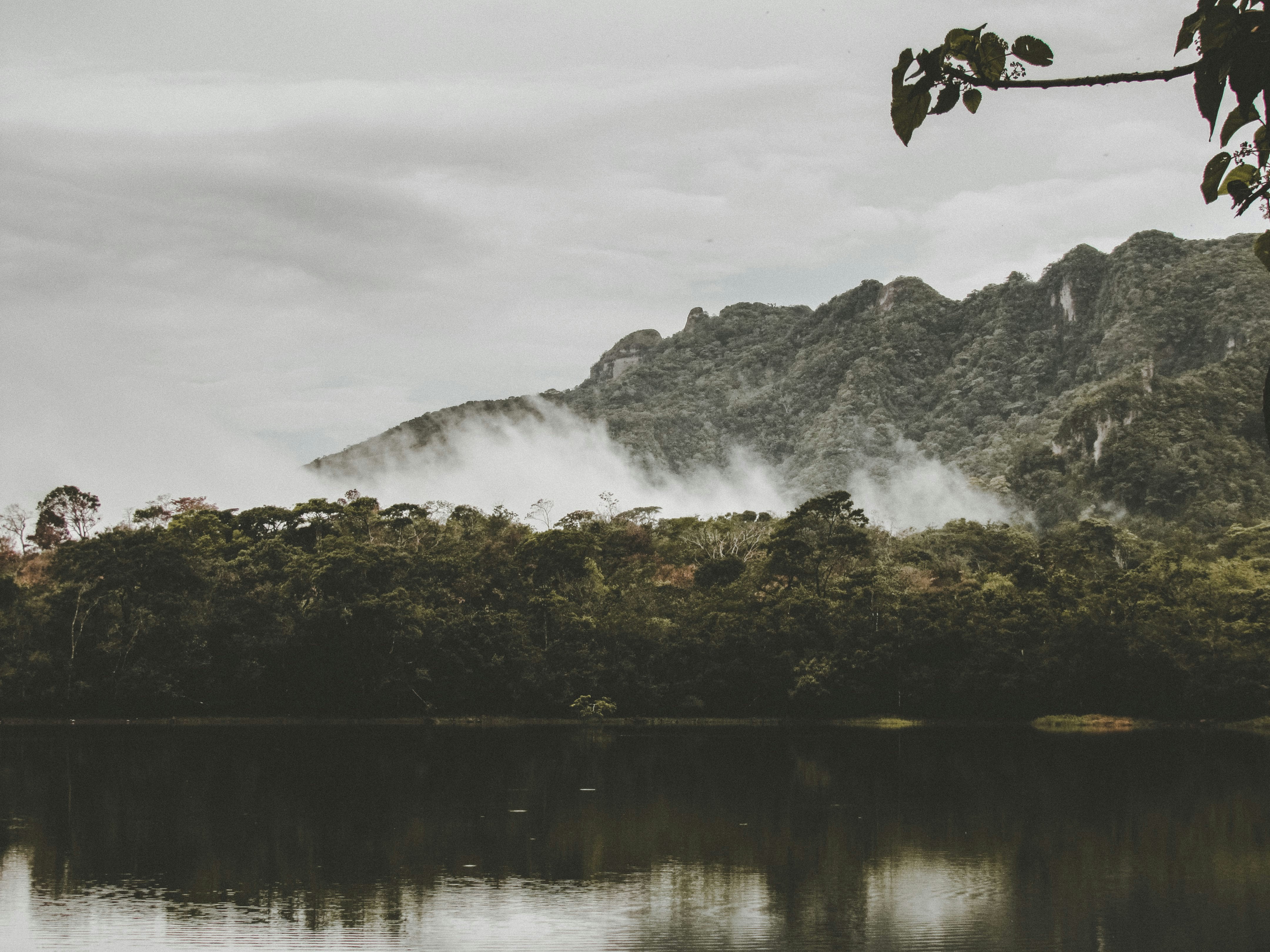 woman wearing yellow long-sleeved dress under white clouds and blue sky during daytime