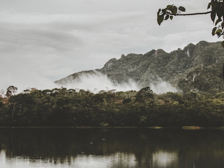 A serene landscape featuring a calm body of water reflecting the dense greenery of a forest. Mist rolls over the dark, forested mountains in the background, creating a mystical atmosphere. A few tree leaves frame the top right corner of the image, adding depth.