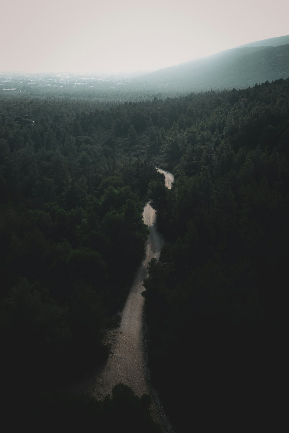 a river running through a lush green forest