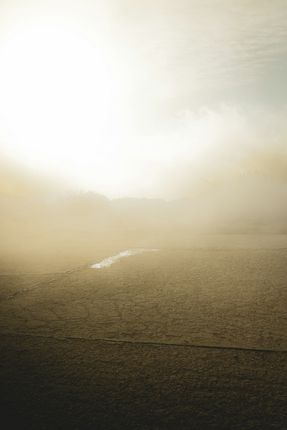 a horse standing in a field on a foggy day