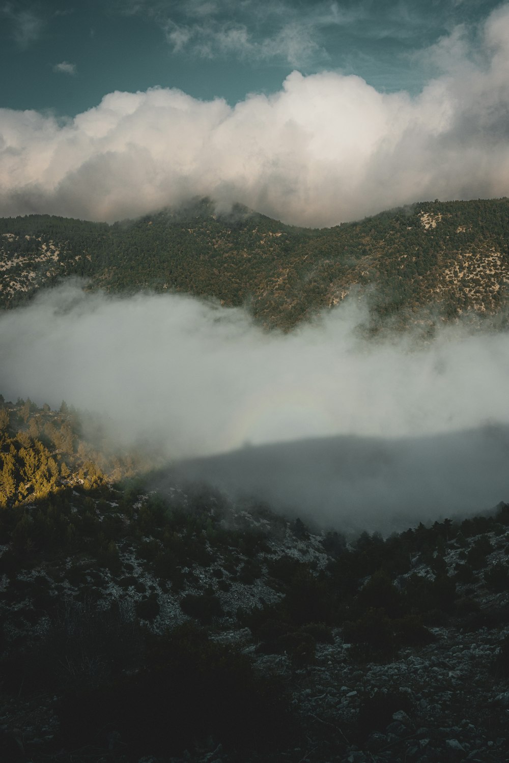 a mountain covered in clouds and trees under a blue sky