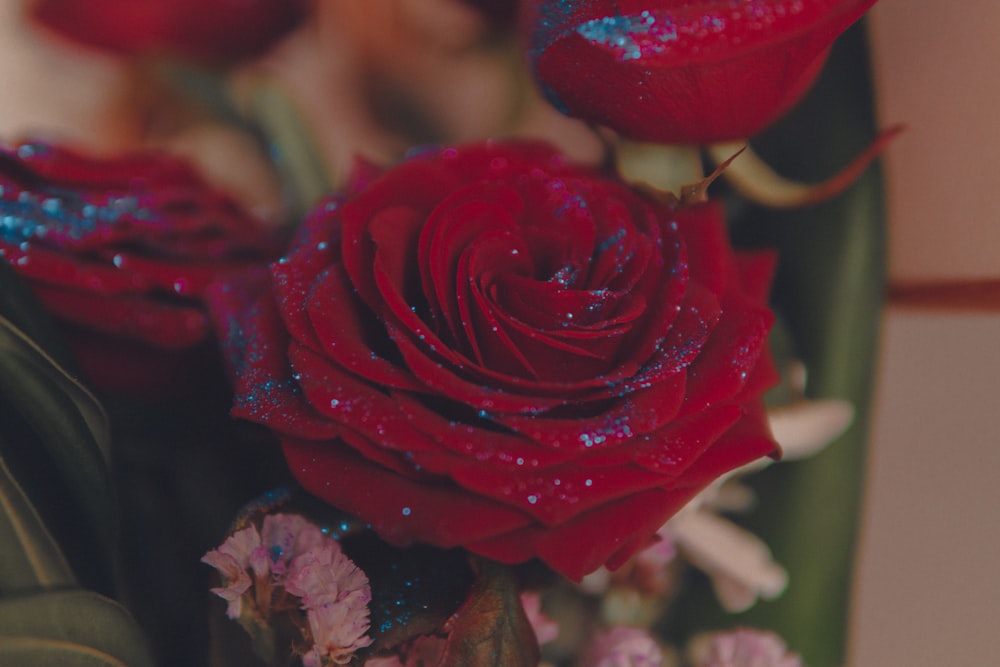 a bouquet of red roses with water droplets on them