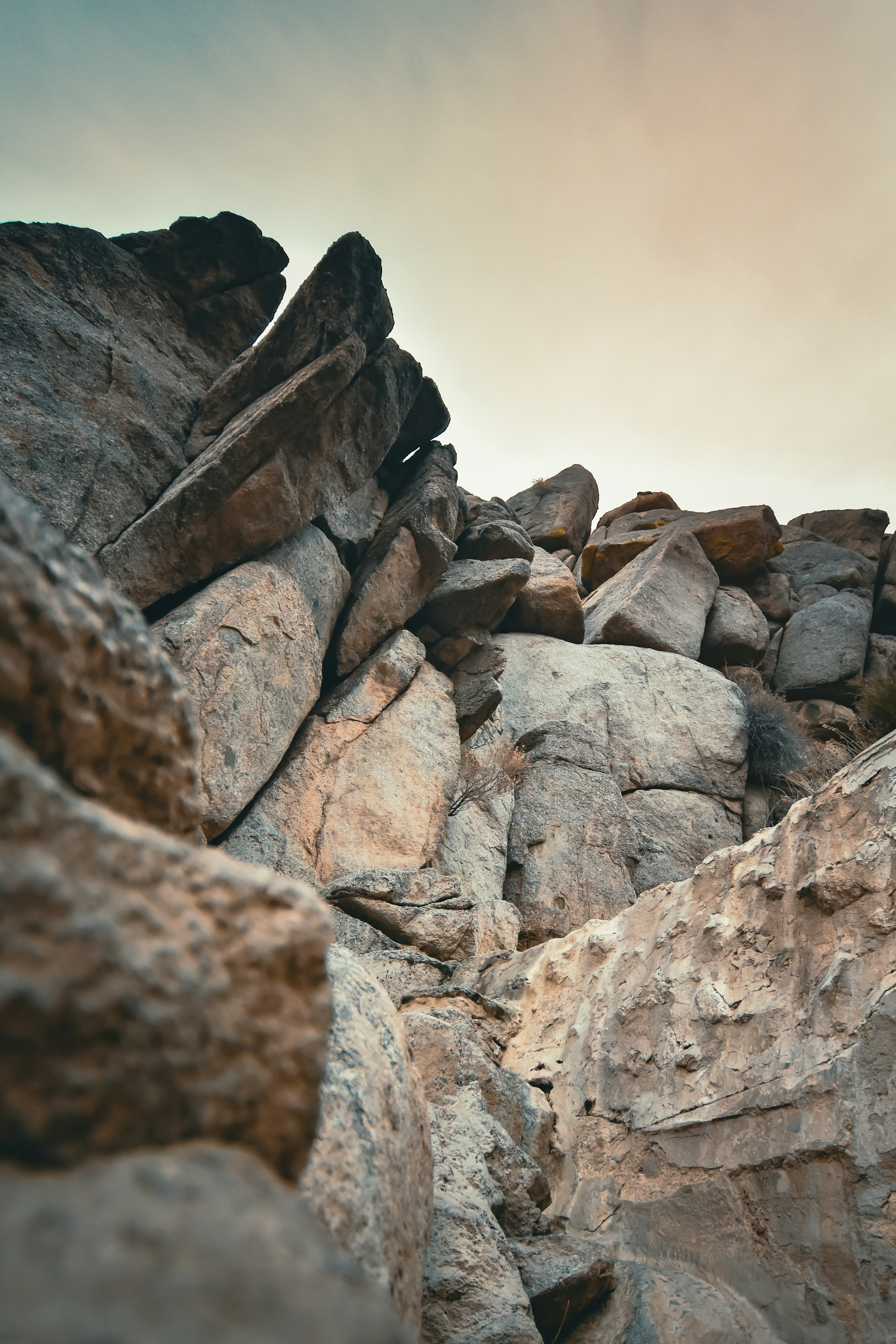 Photo by scottelkins