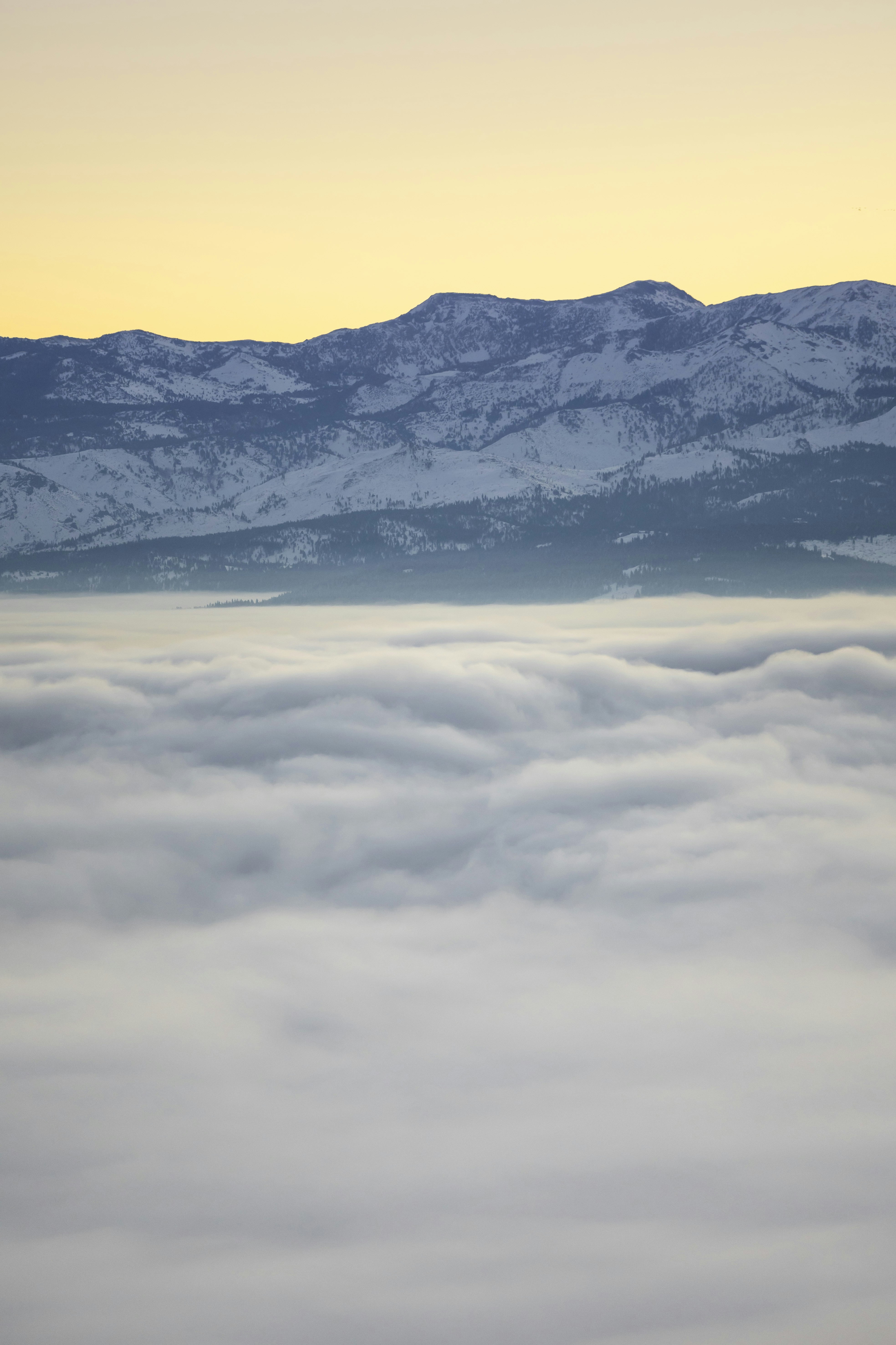 Photo by leo_visions_