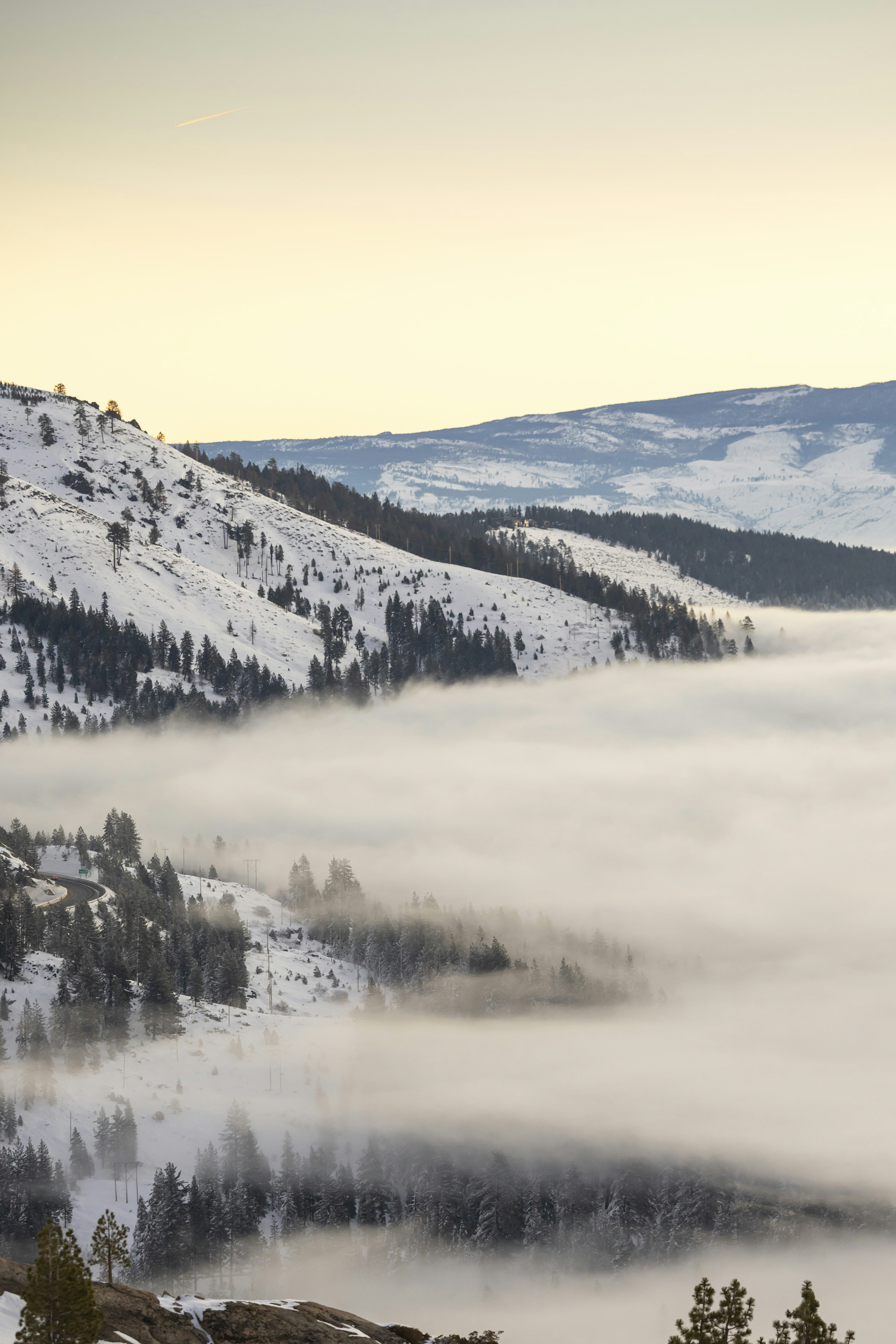 Photo by leo_visions_