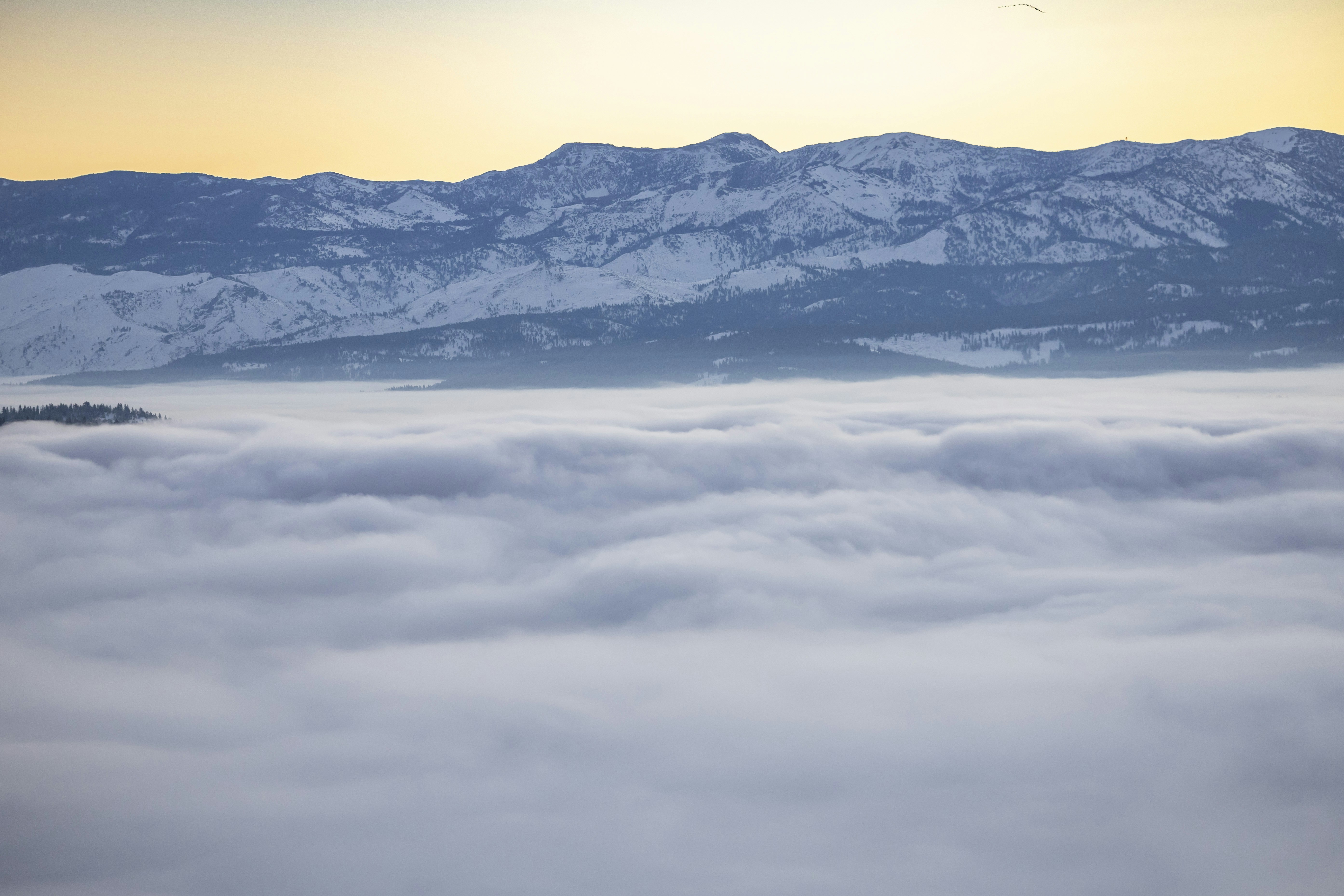 Photo by leo_visions_