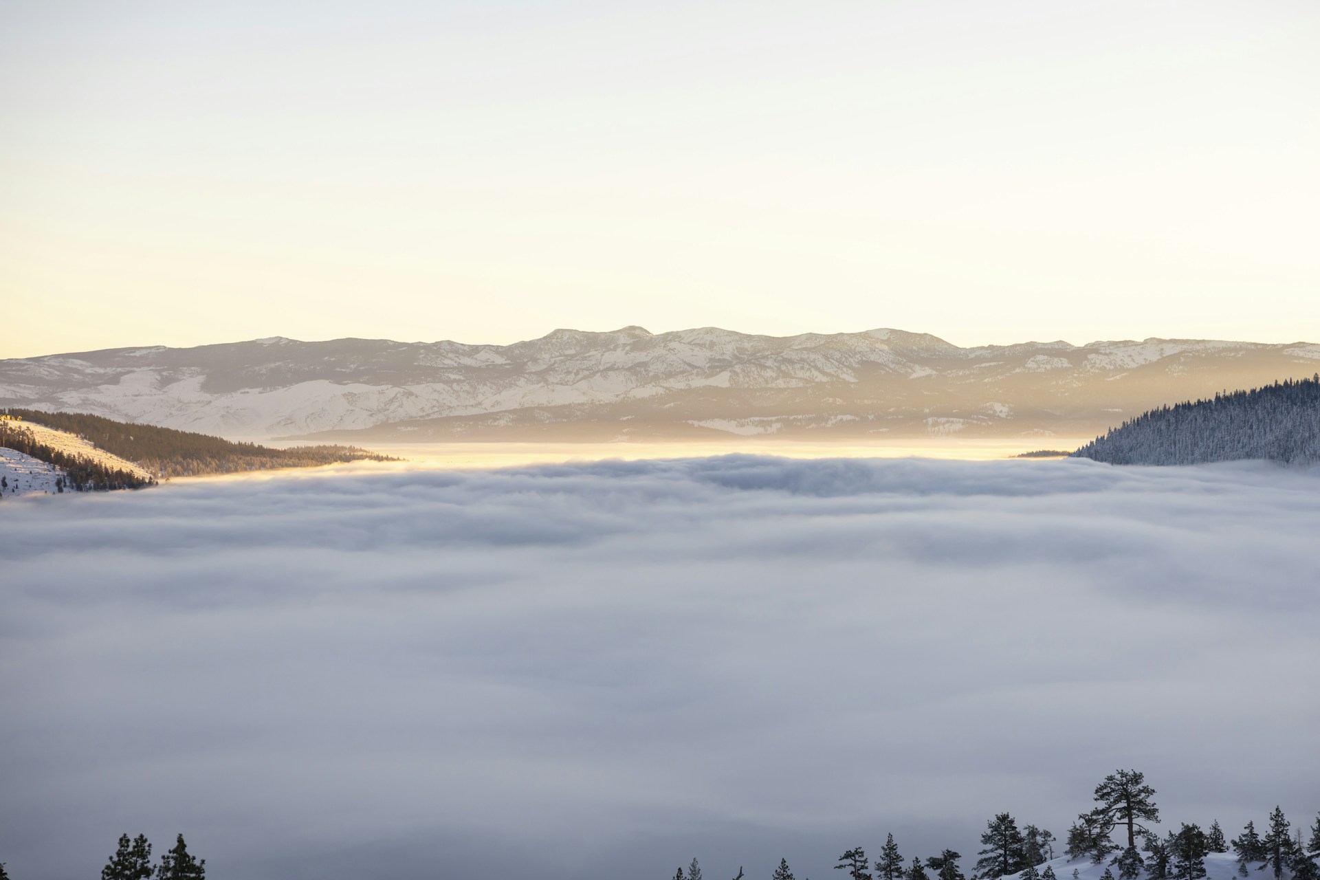 A serene mountain landscape with morning fog gently rolling over the trees.