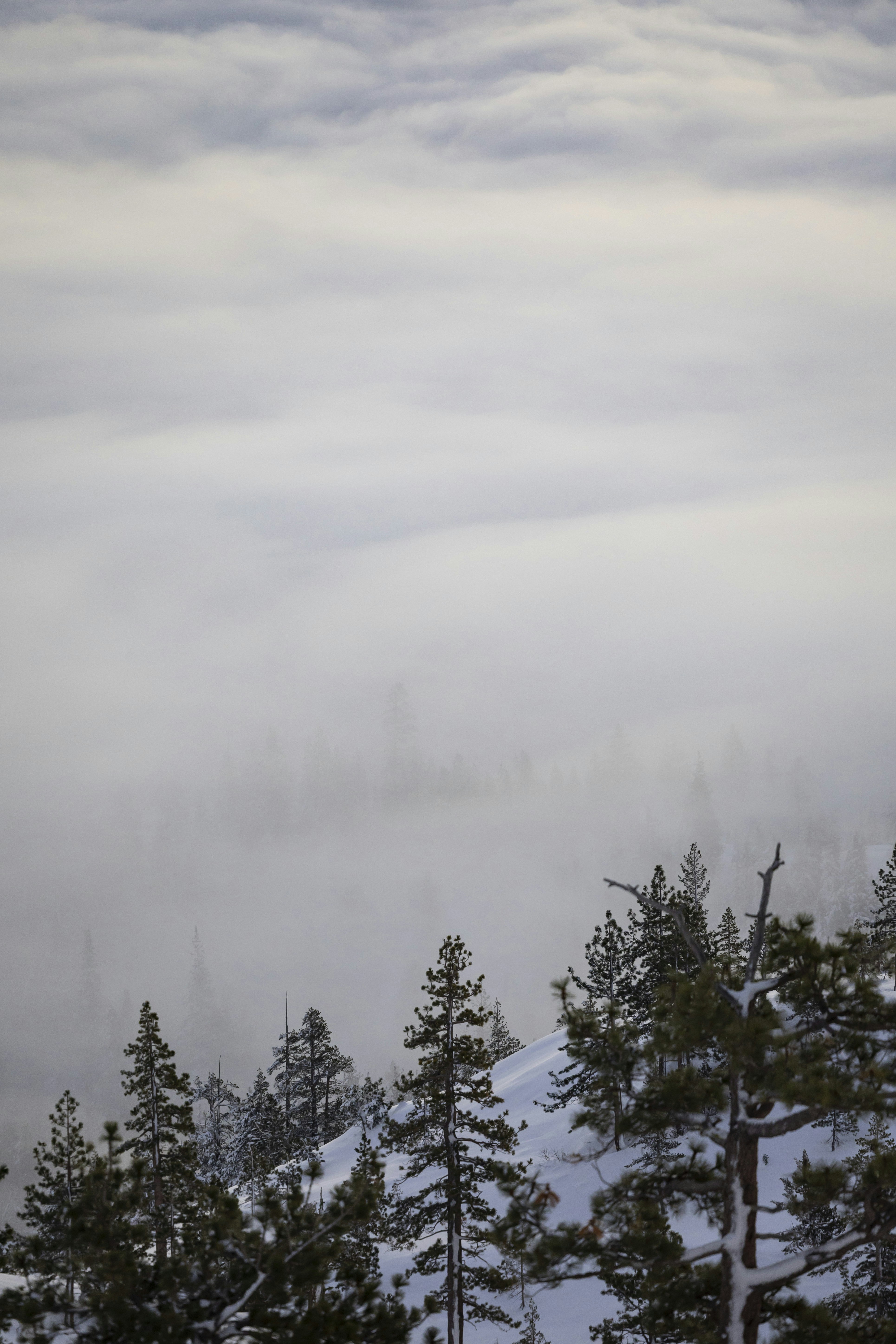 Photo by leo_visions_