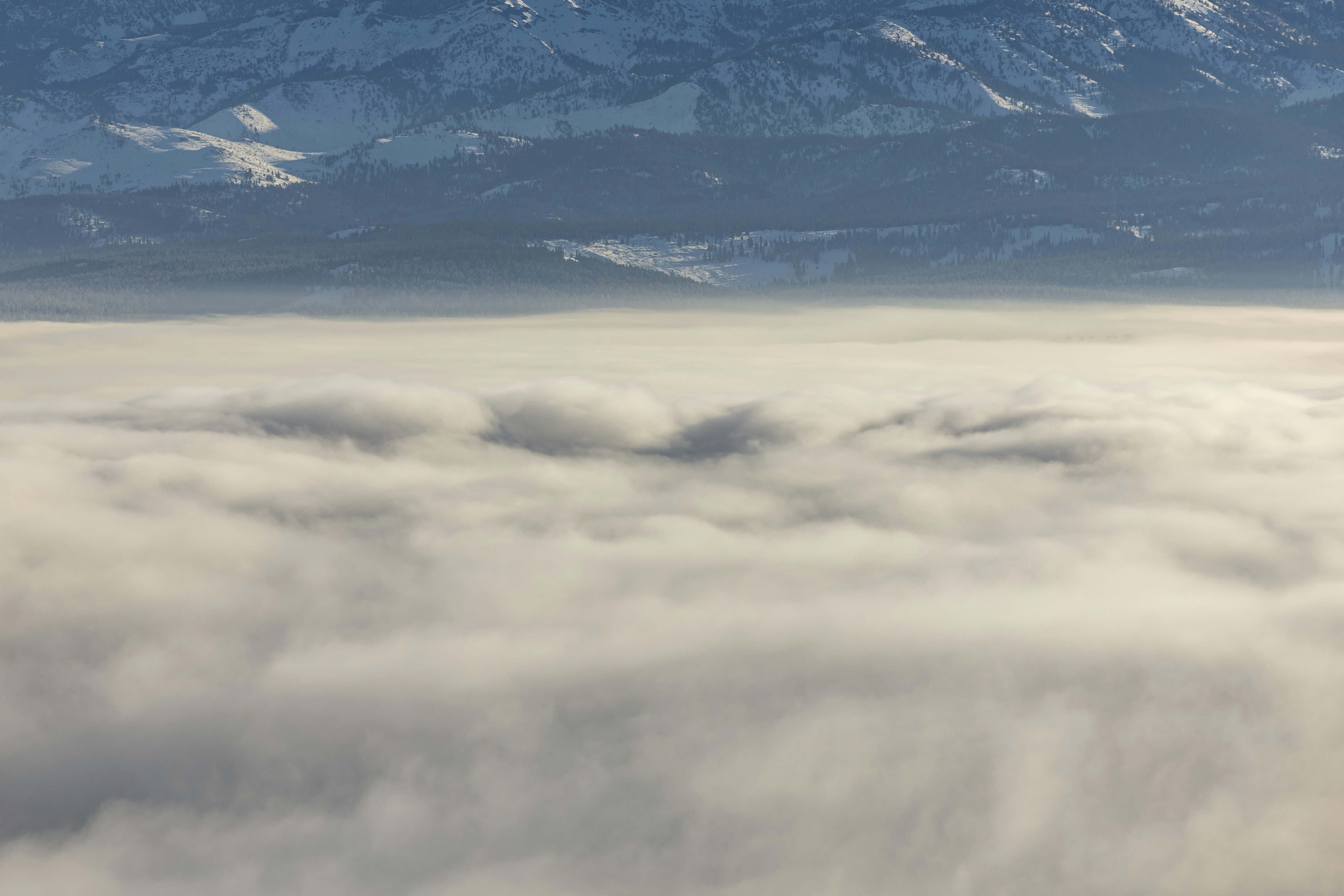 Photo by leo_visions_