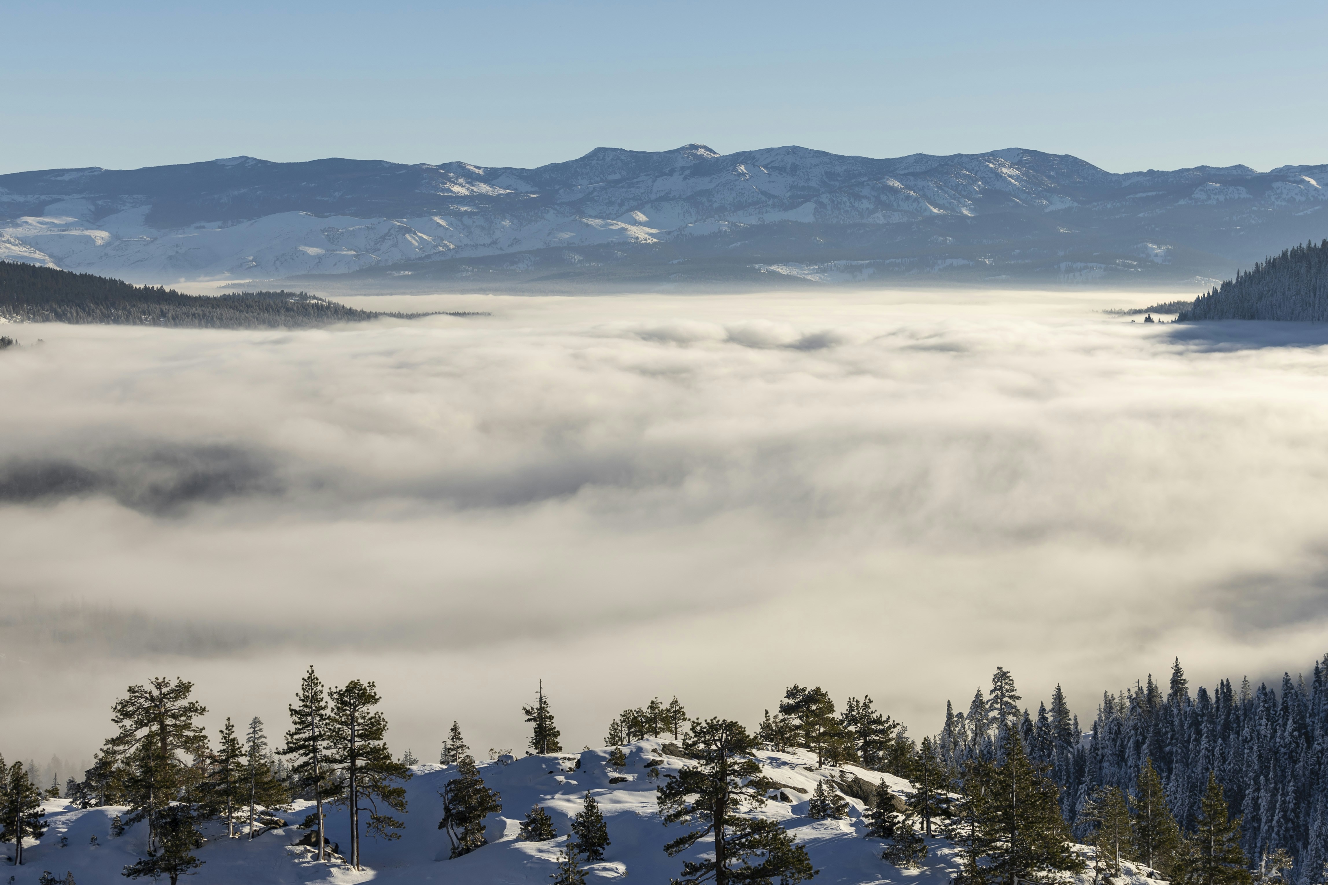 Photo by leo_visions_