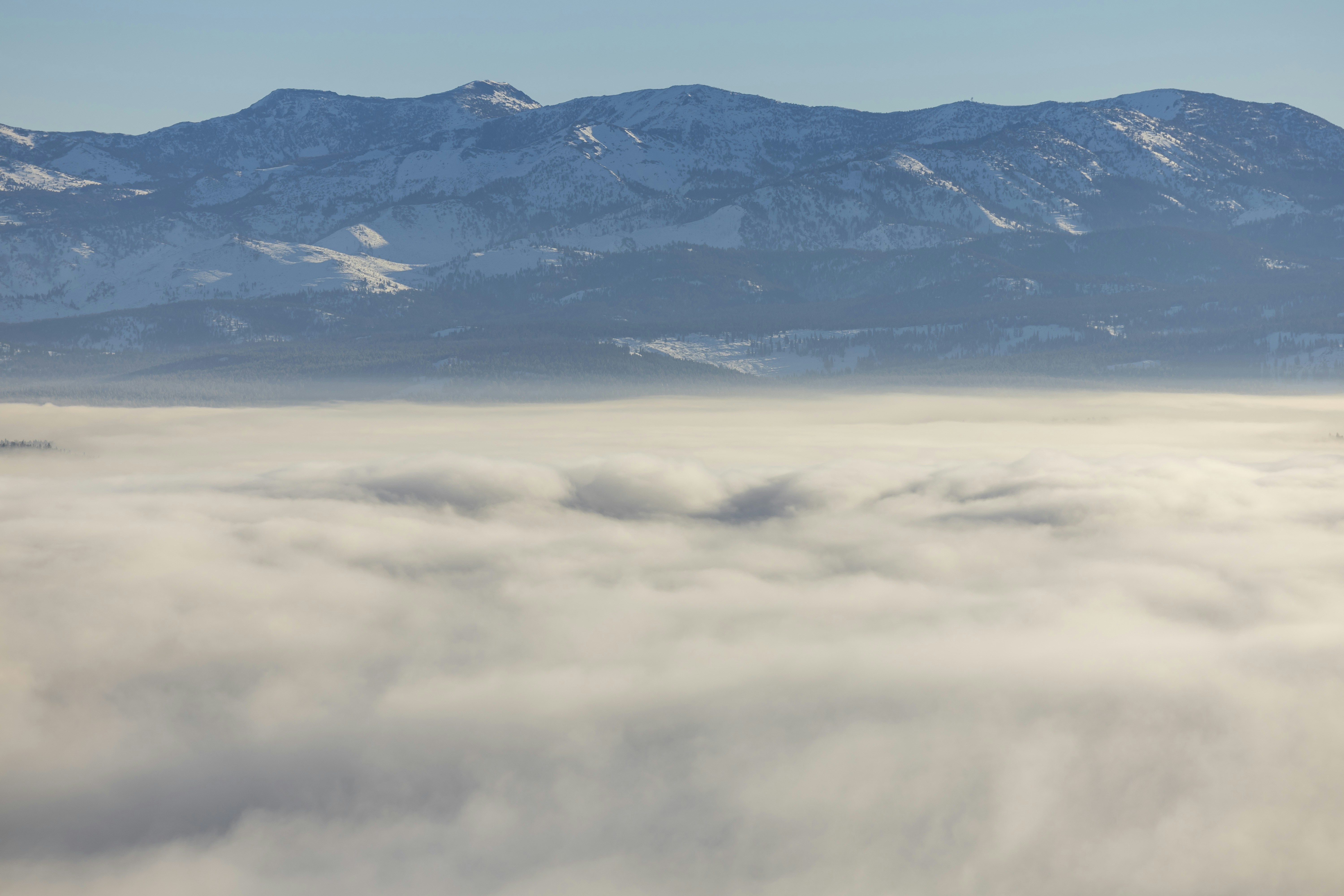 Photo by leo_visions_