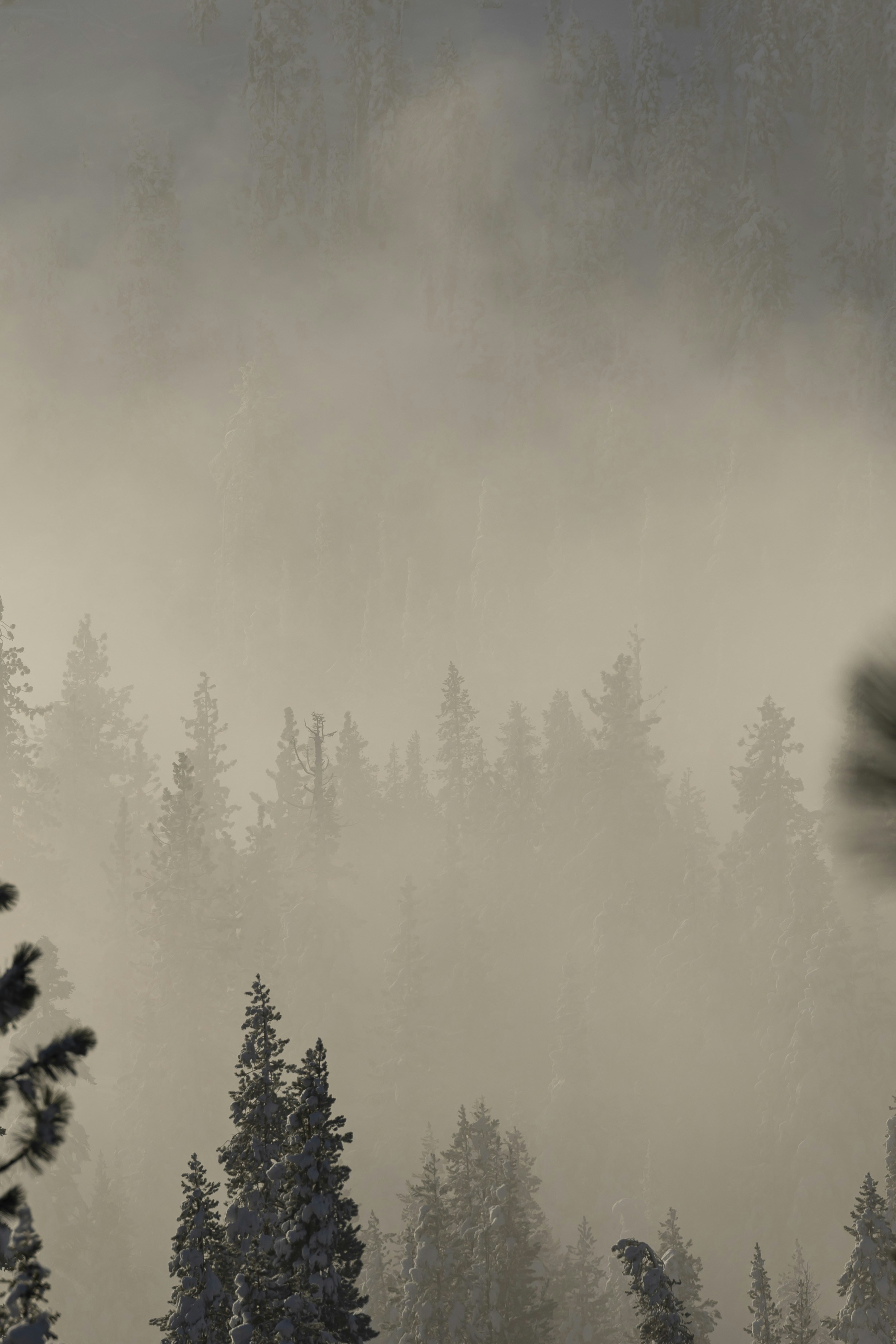 Photo by leo_visions_