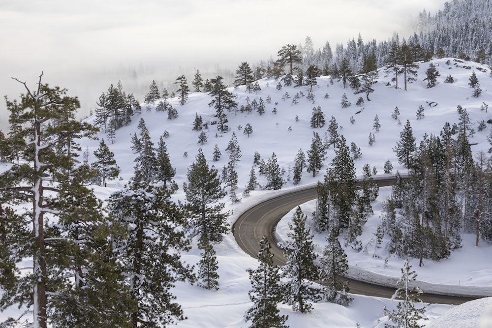 a winding road in the middle of a snowy mountain