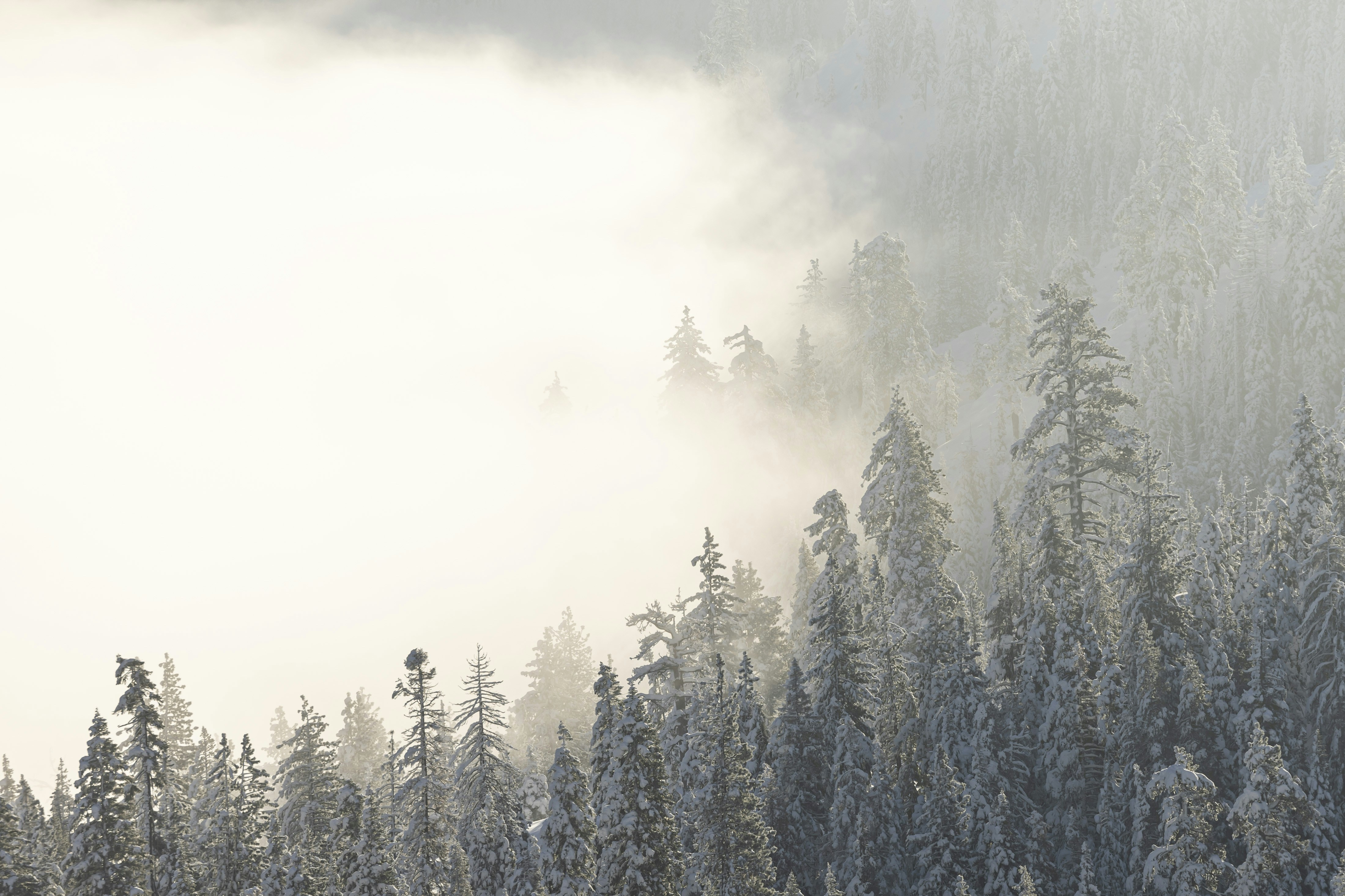 Photo by leo_visions_