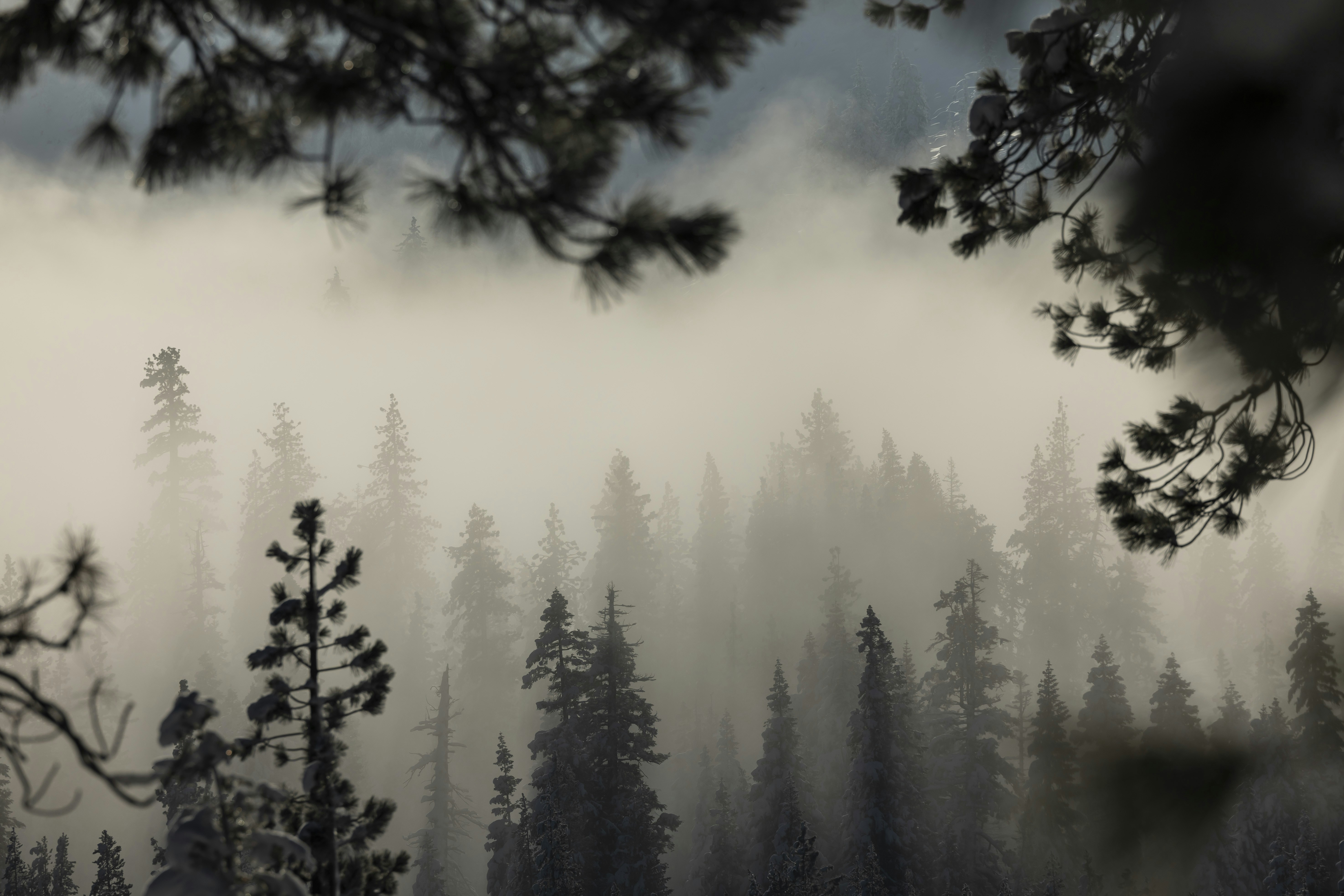 Photo by leo_visions_