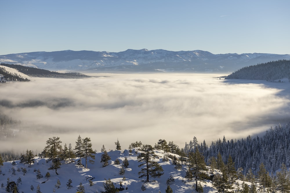 a view of a mountain covered in low lying clouds