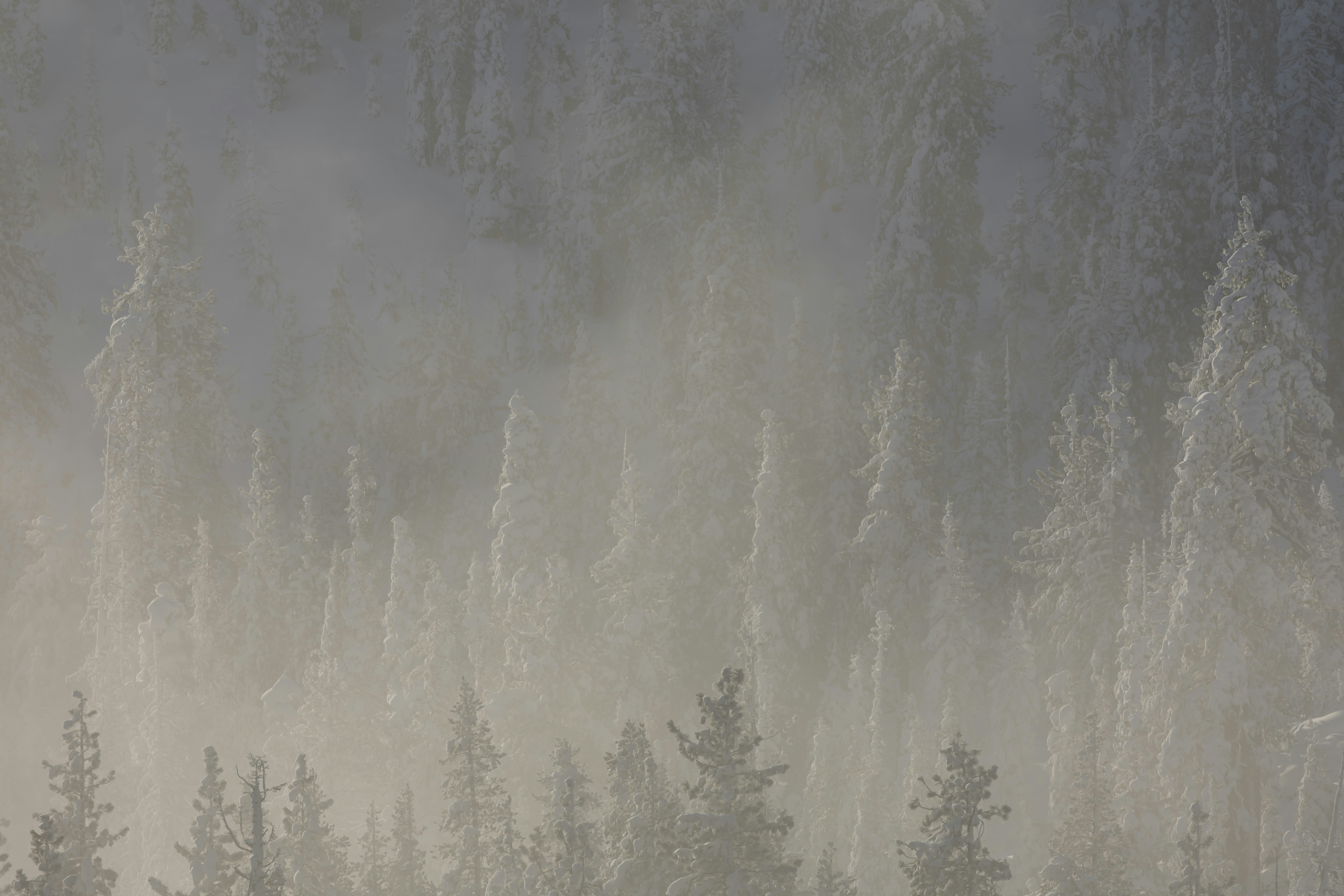 Photo by leo_visions_