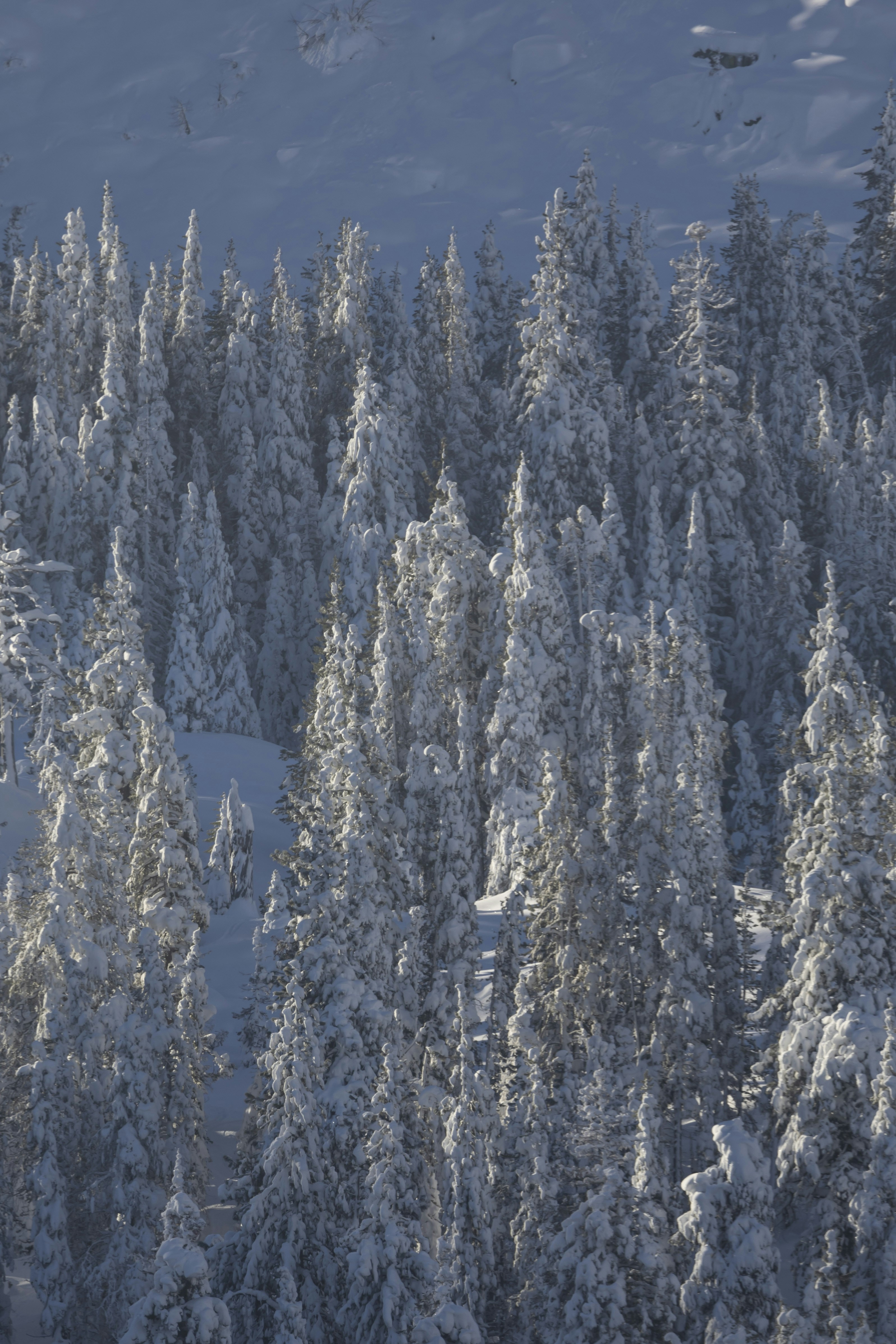 Photo by leo_visions_