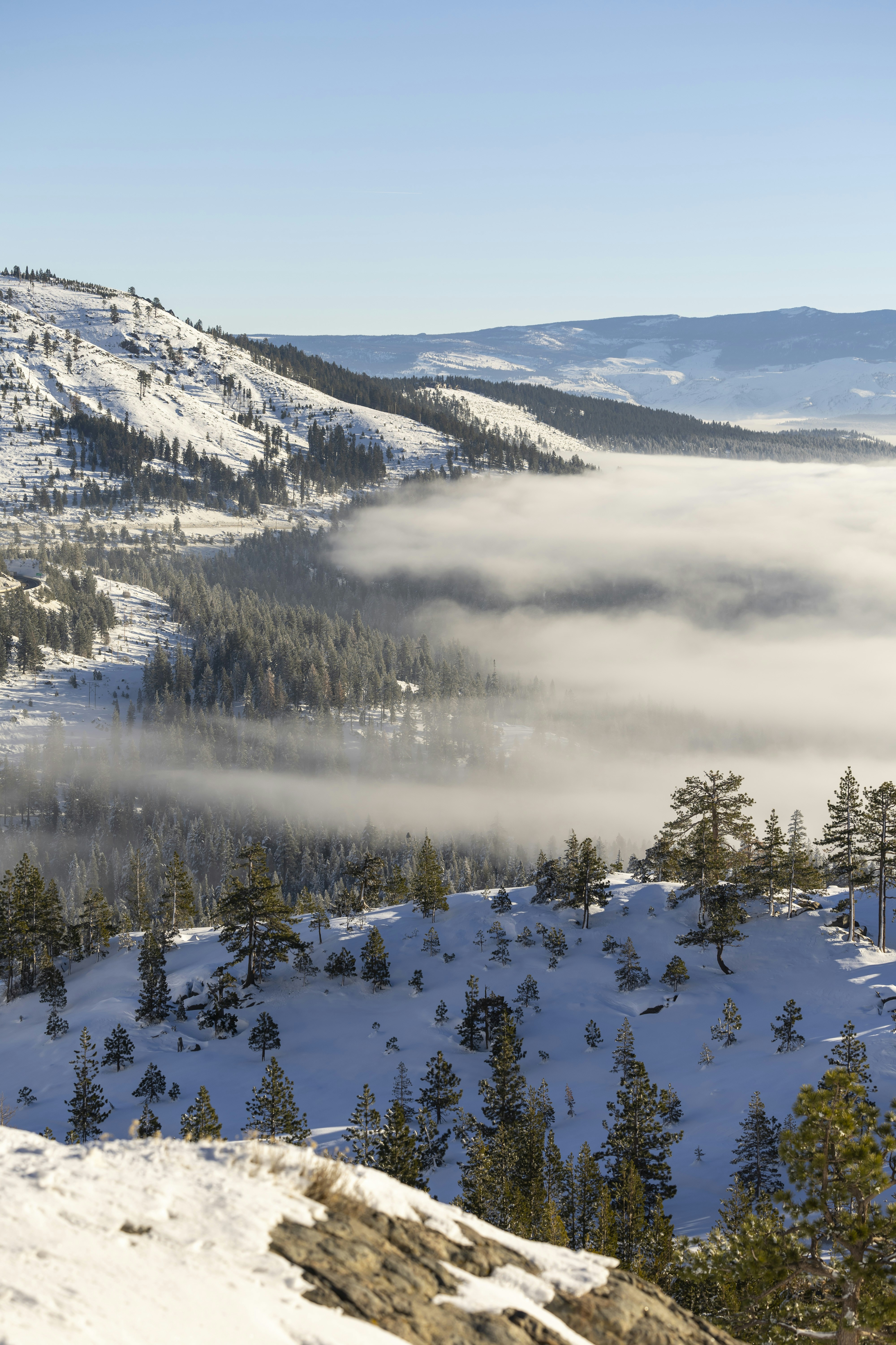 Photo by leo_visions_