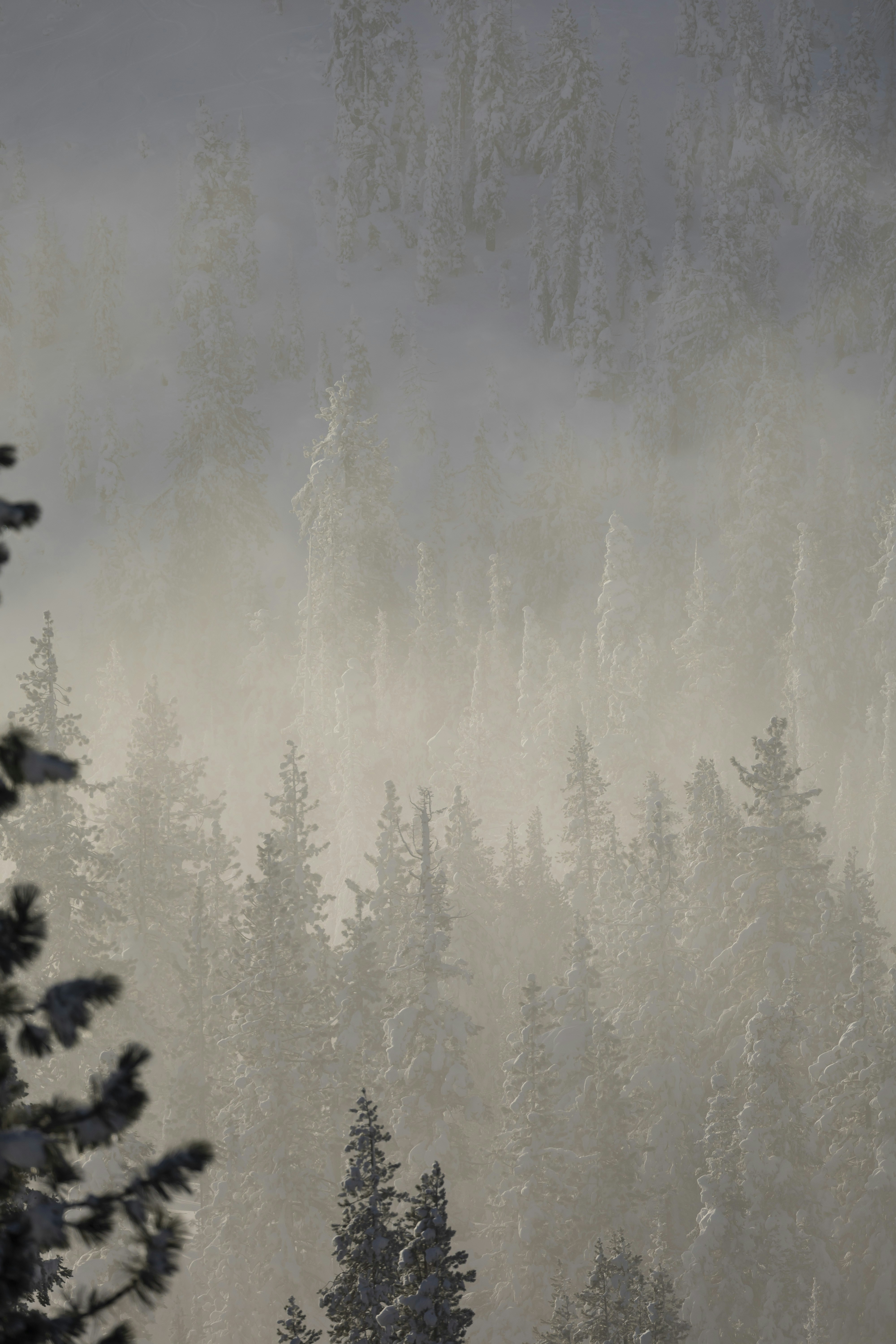 Photo by leo_visions_