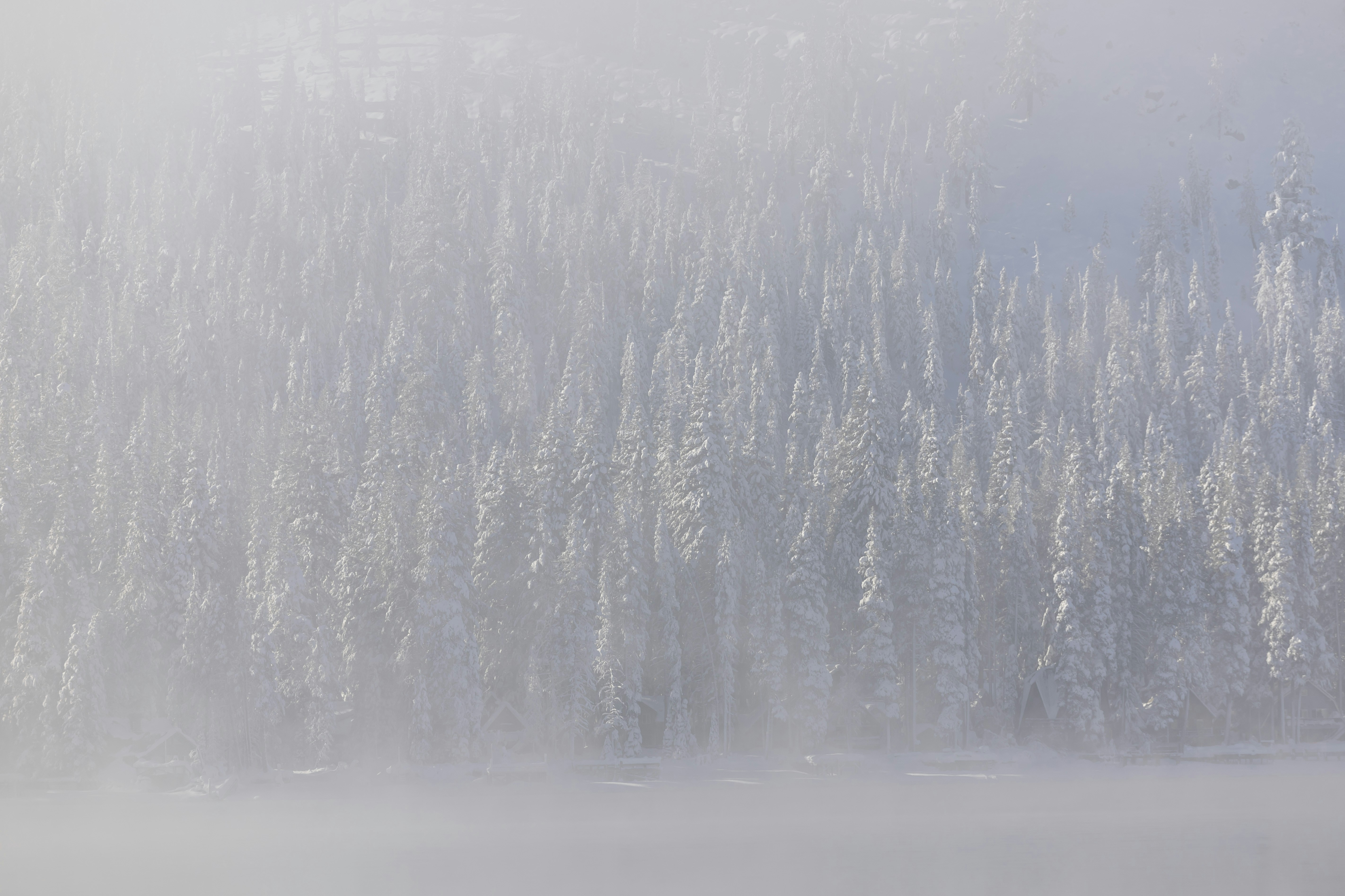 Photo by leo_visions_