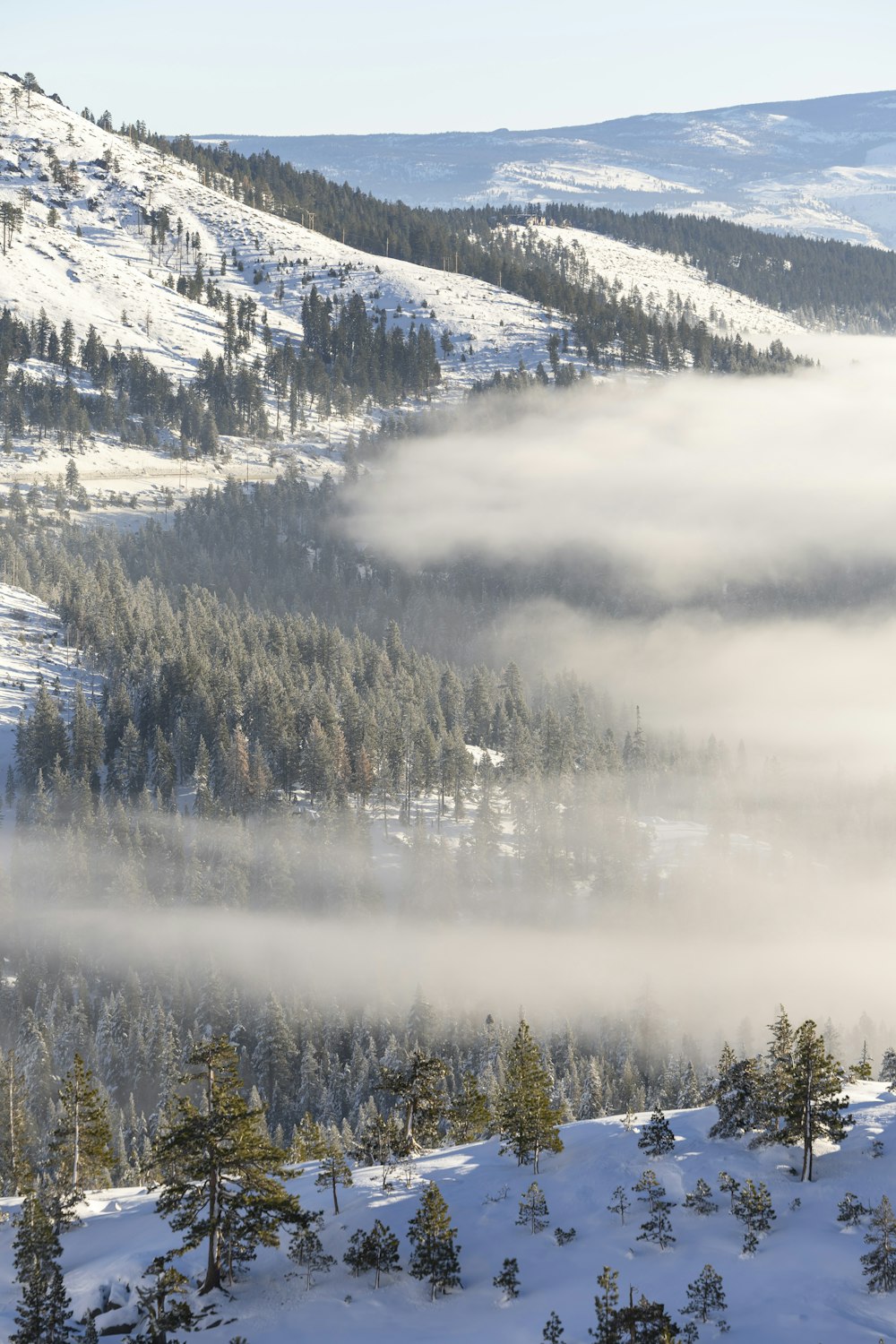 a mountain covered in snow with trees in the foreground