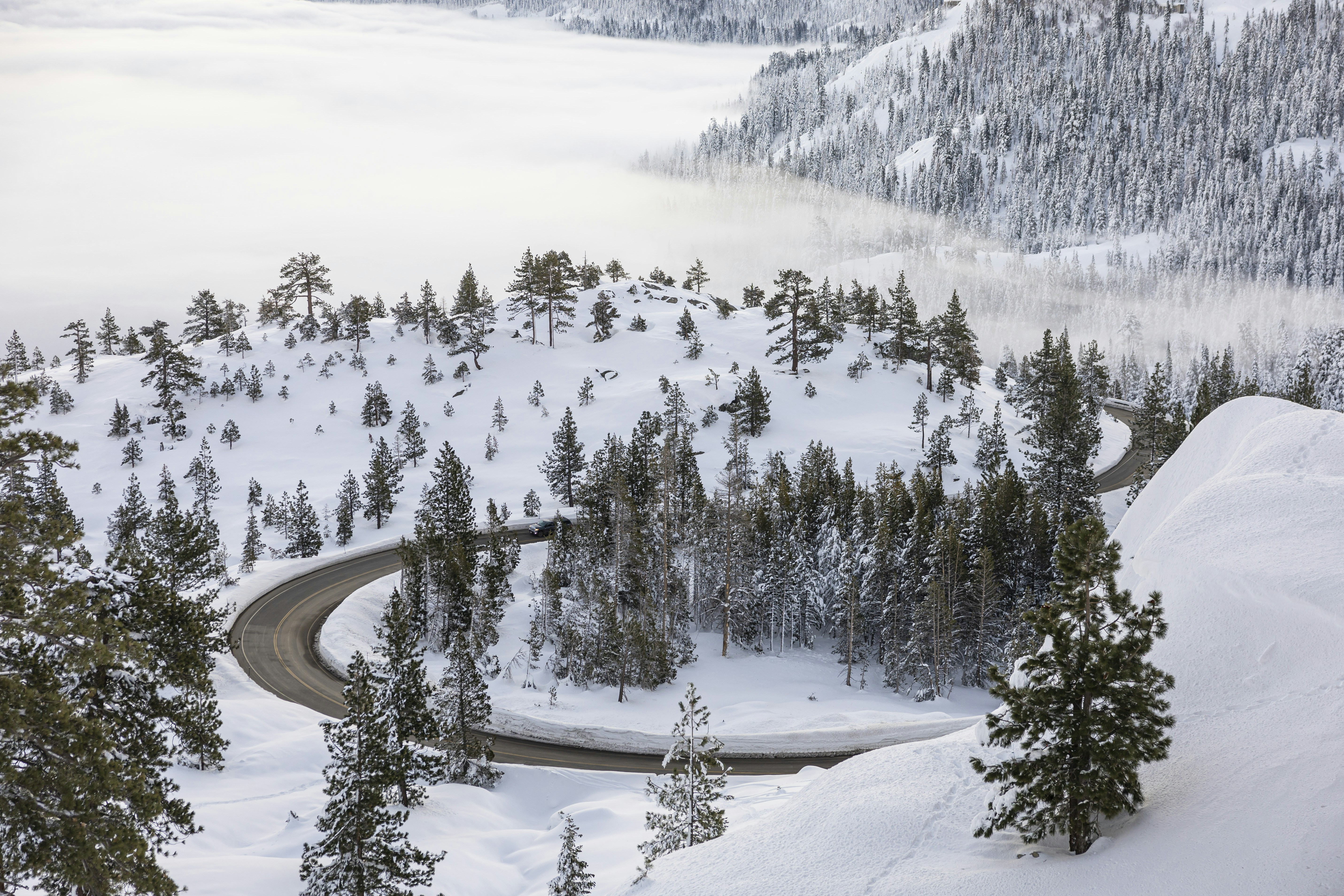 Photo by leo_visions_